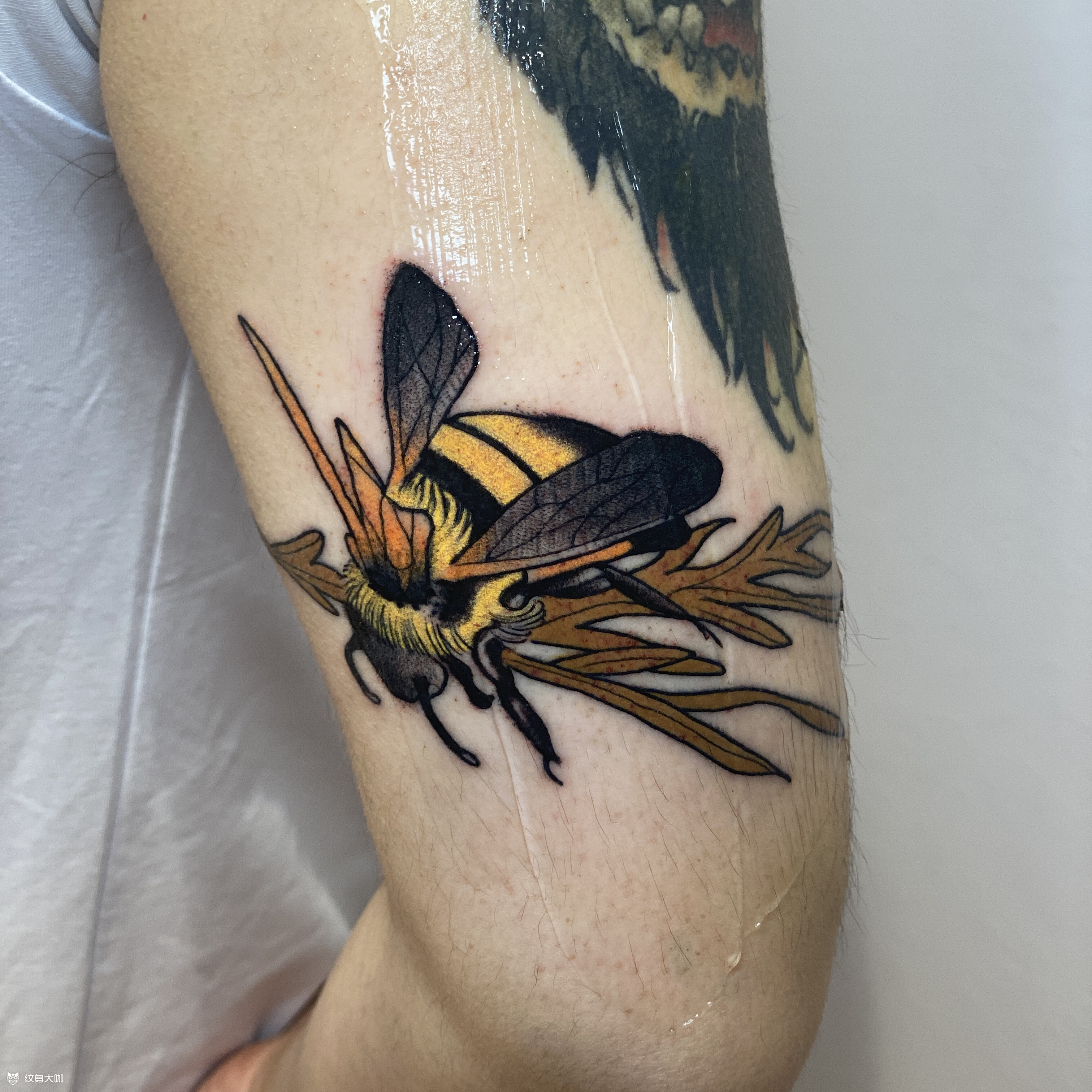 蜜蜂_纹身图案手稿图片_李默的纹身作品集