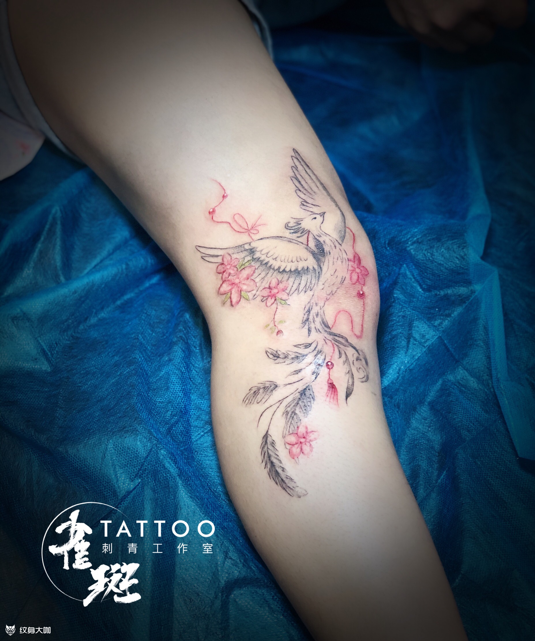 遮盖膝盖疤痕_纹身图案手稿图片_jollie的纹身作品集