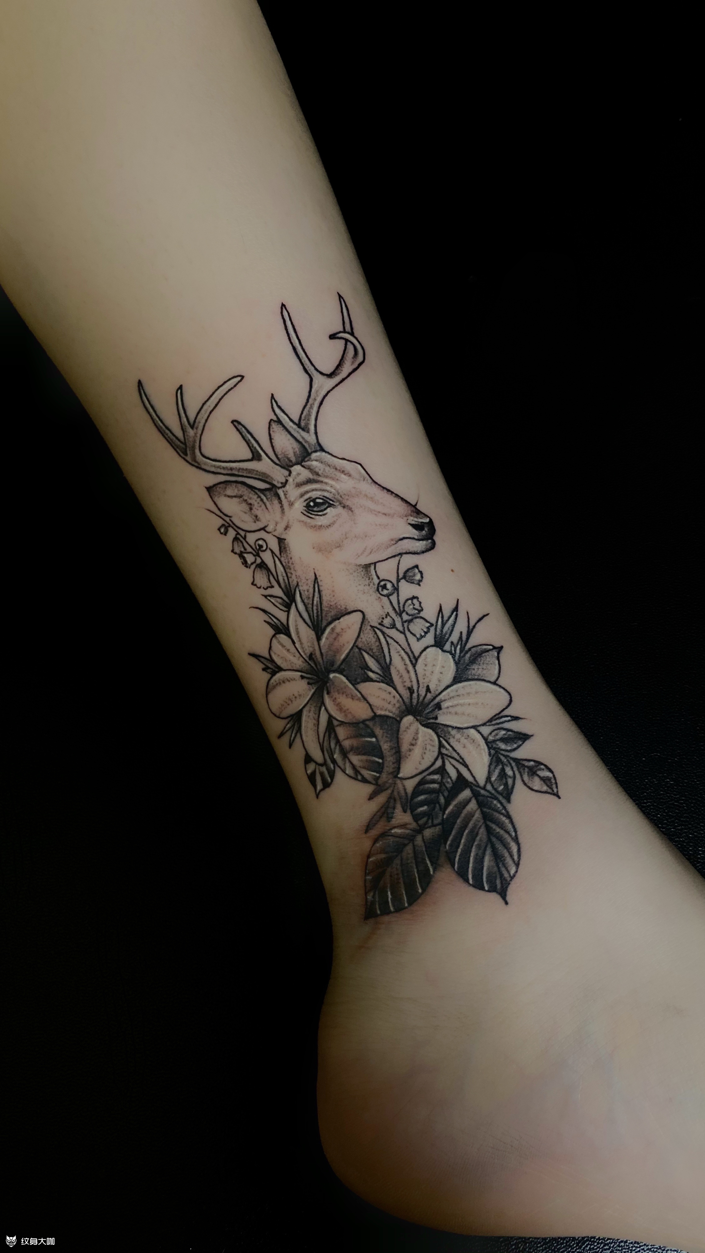 素花小鹿(遮盖疤痕)_纹身图案手稿图片_阿龙的纹身作品集