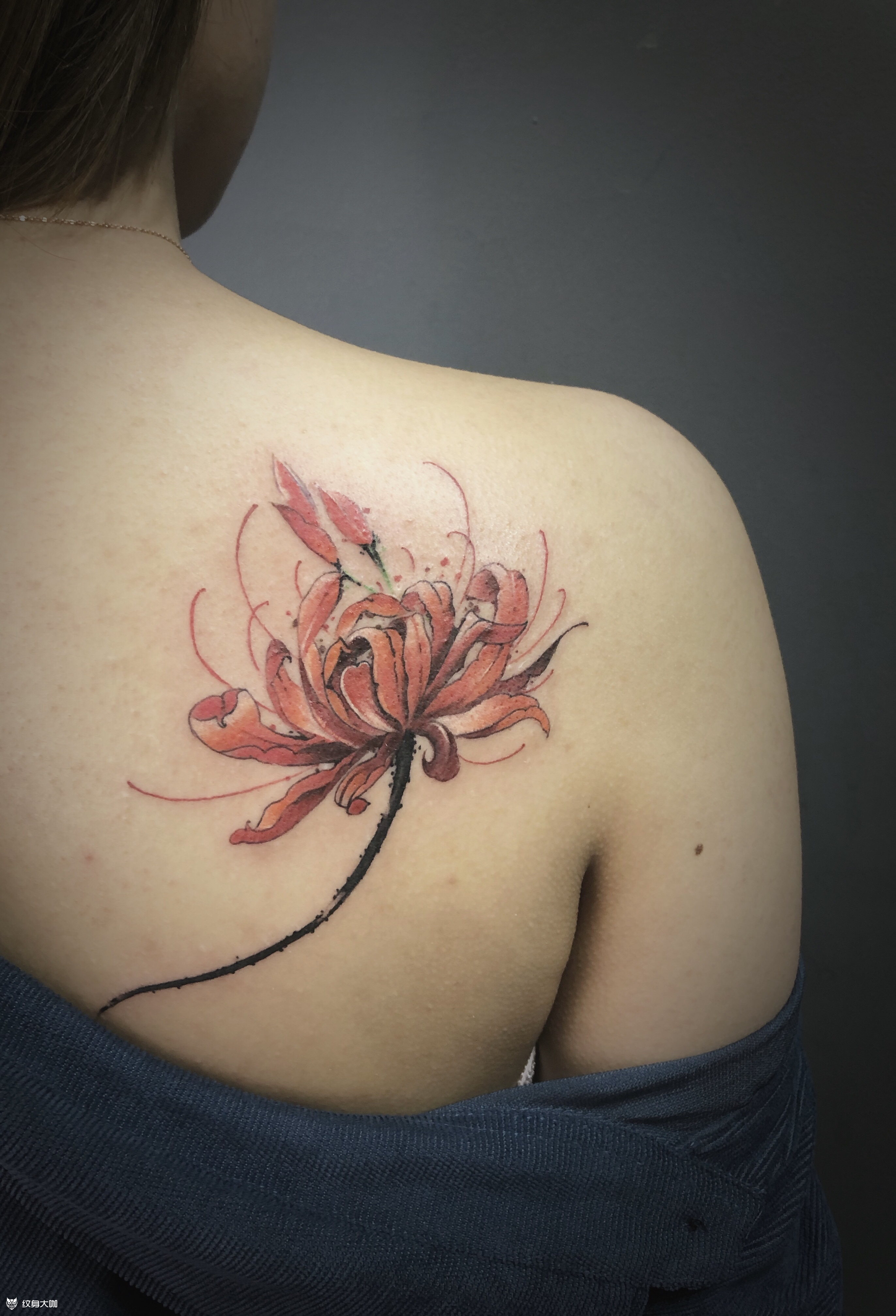 彼岸花_纹身图案手稿图片_张杨的纹身作品集