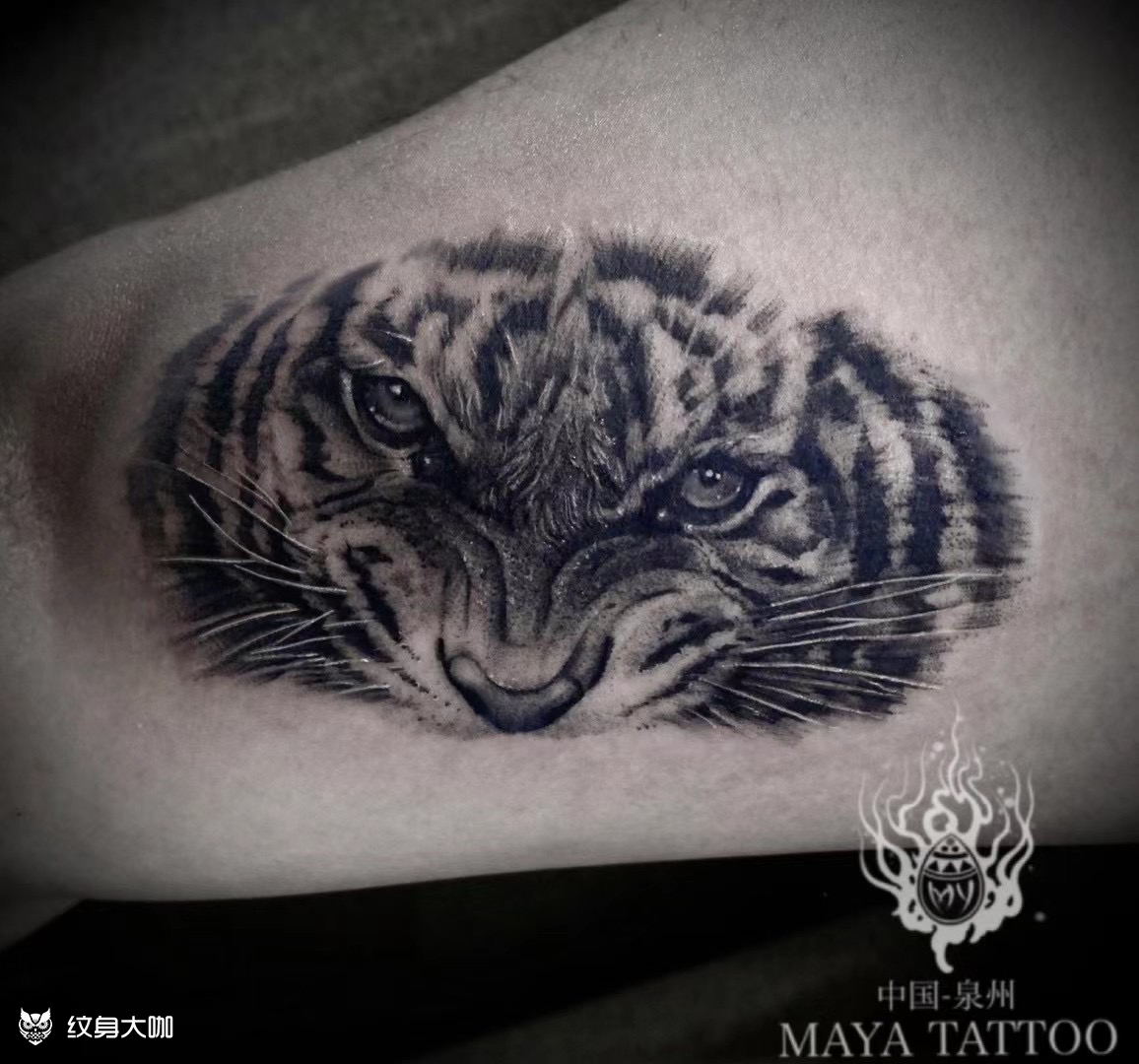老虎_纹身图案手稿图片_曾美丽的纹身作品集
