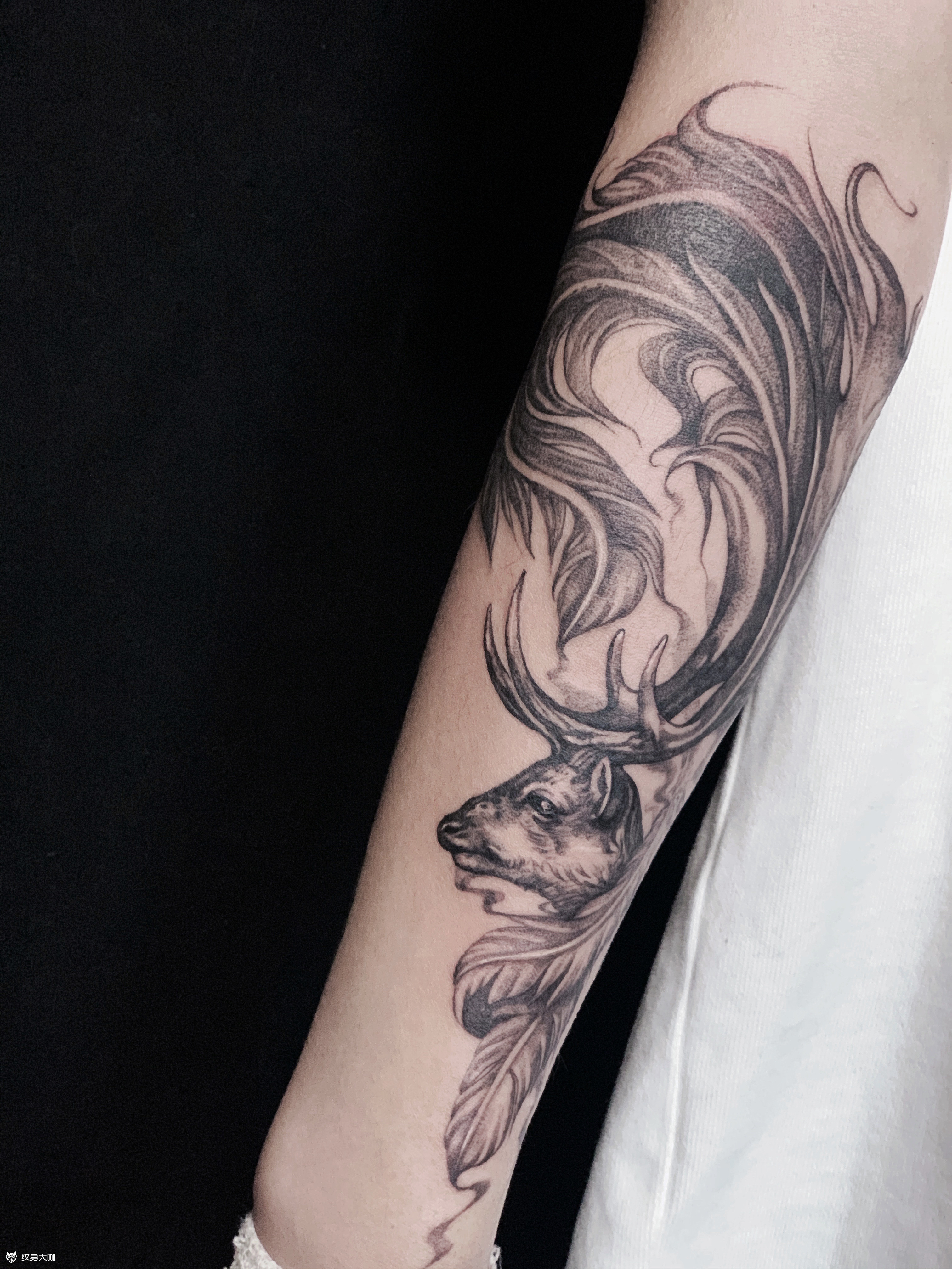 麋鹿_纹身图案手稿图片_戴珊的纹身作品集