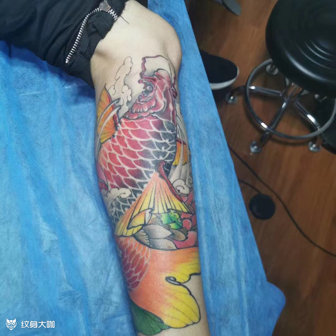 鲤鱼_纹身图案手稿图片_杨威的纹身作品集