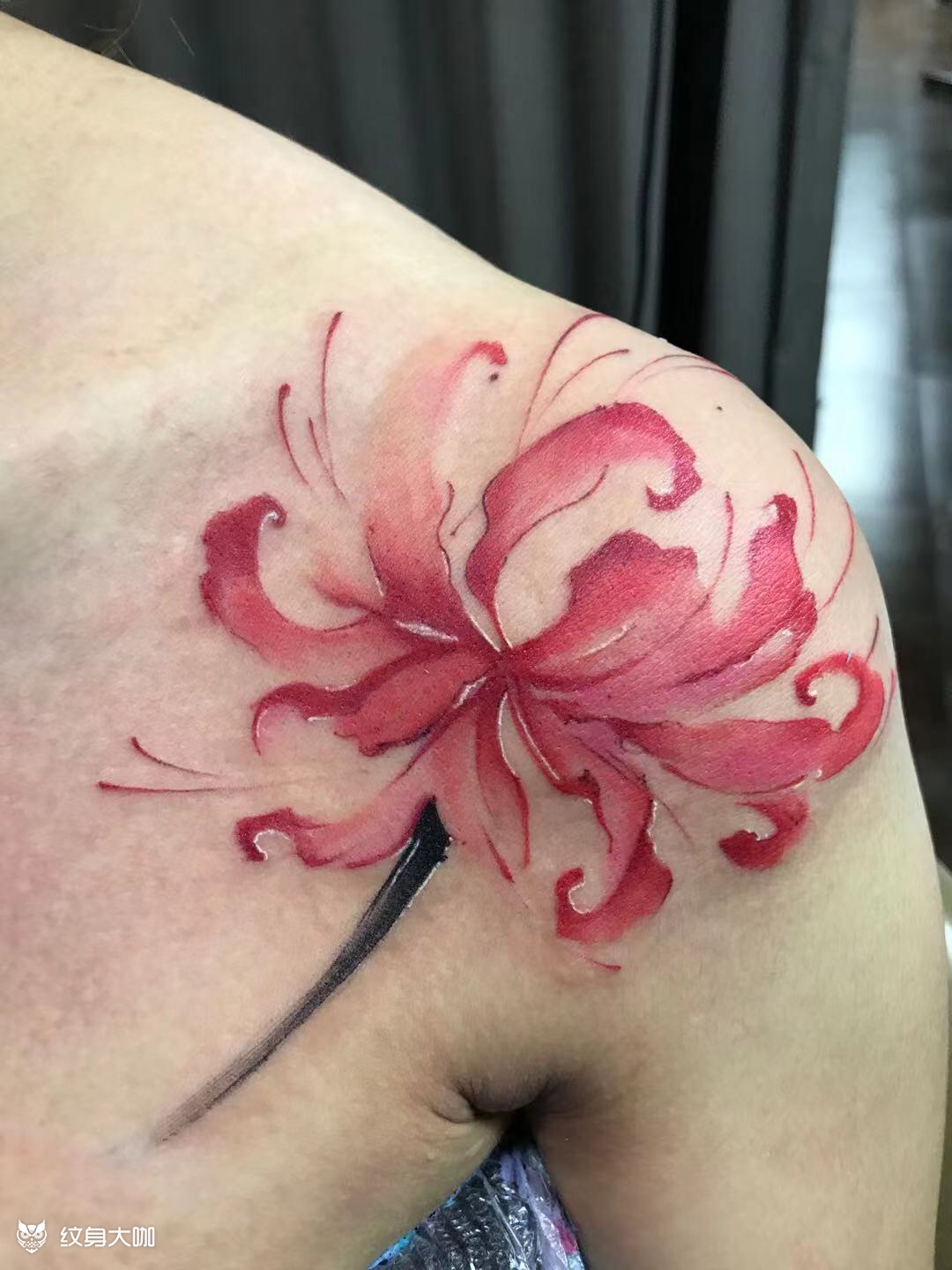 彼岸花_纹身图案手稿图片_汝州无二纹道的纹身作品集