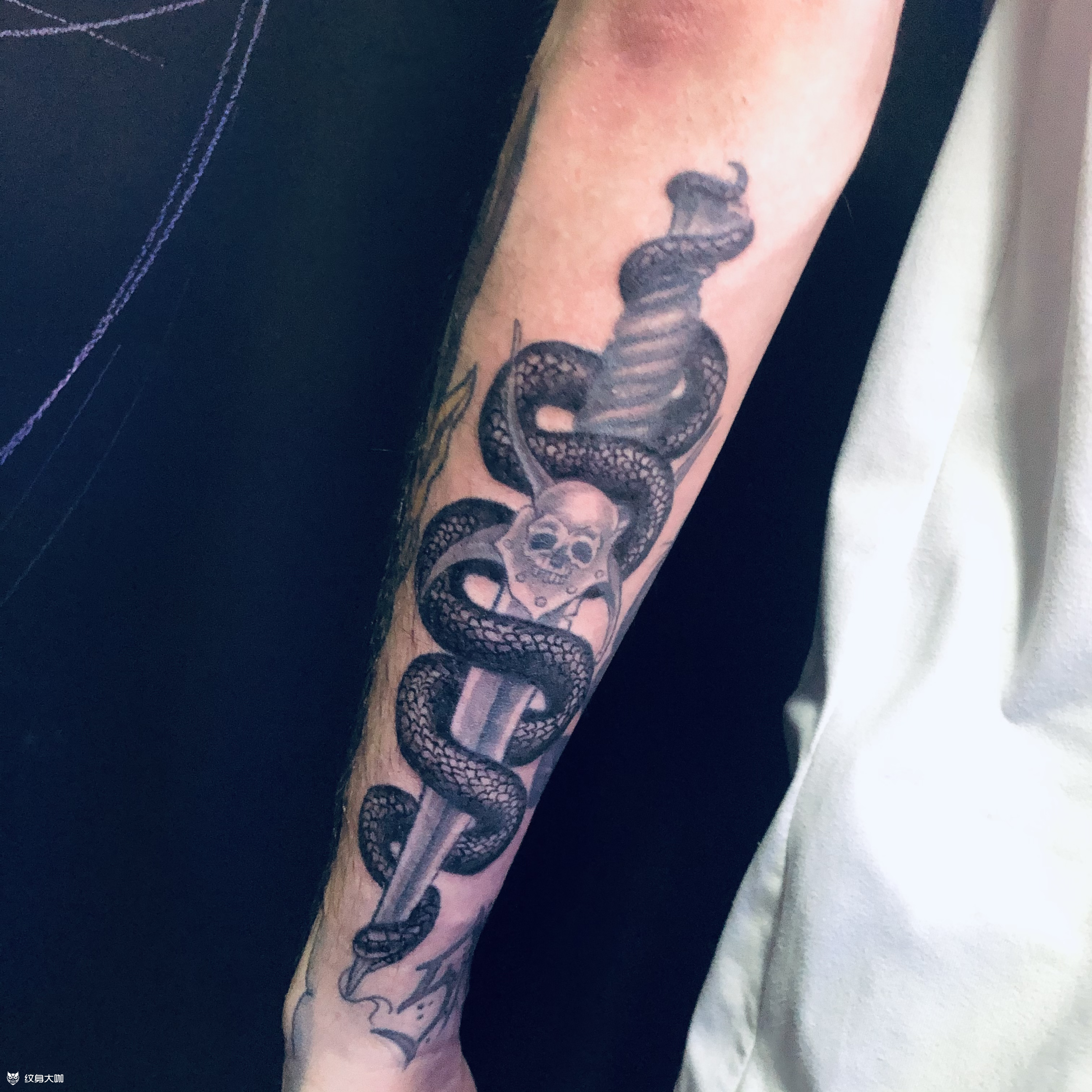 蛇_纹身图案手稿图片_李冉的纹身作品集