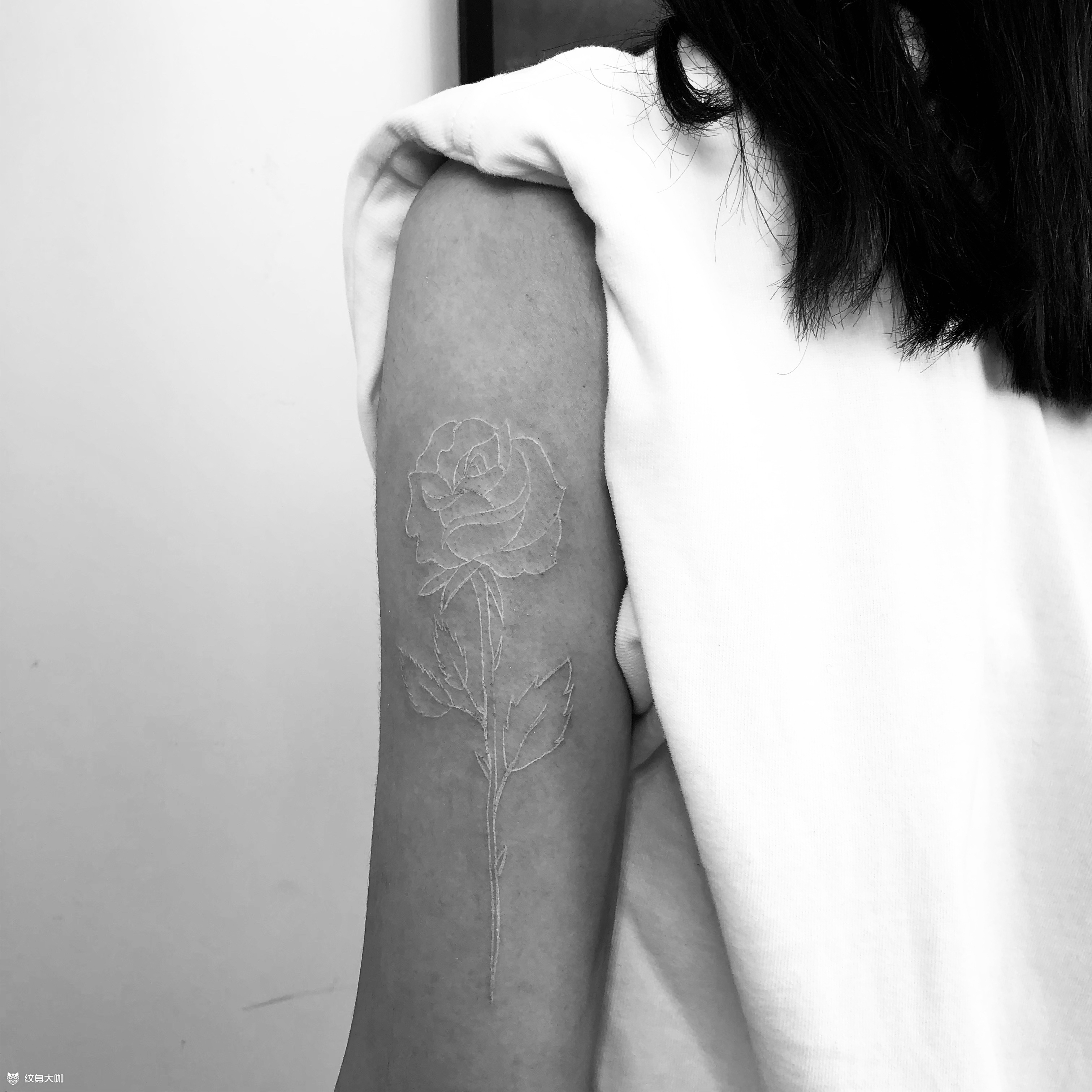 弯刀划过白玫瑰_纹身图案手稿图片_陈炳权的纹身作品集