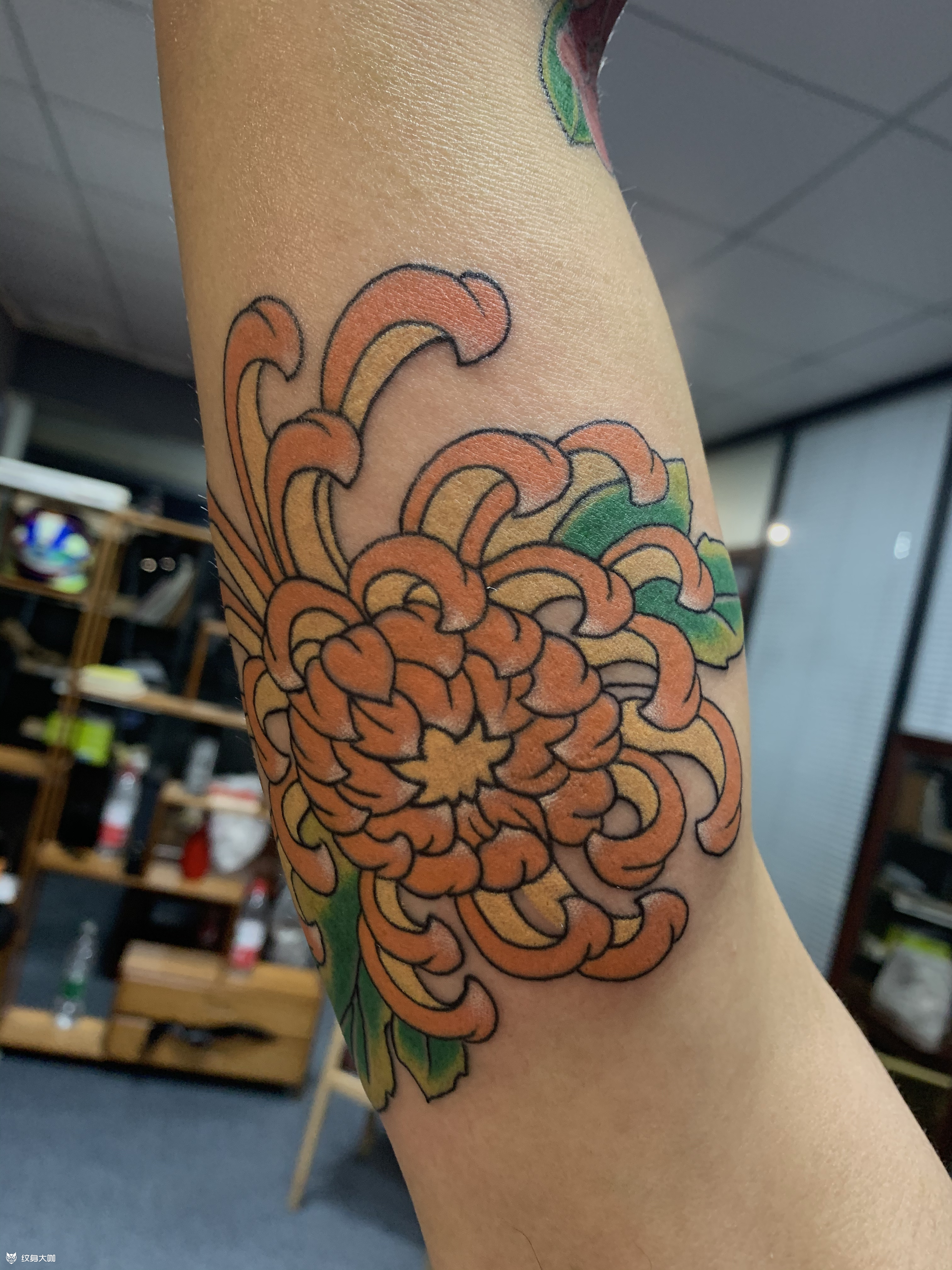 菊花_纹身图案手稿图片_雕眞的纹身作品集