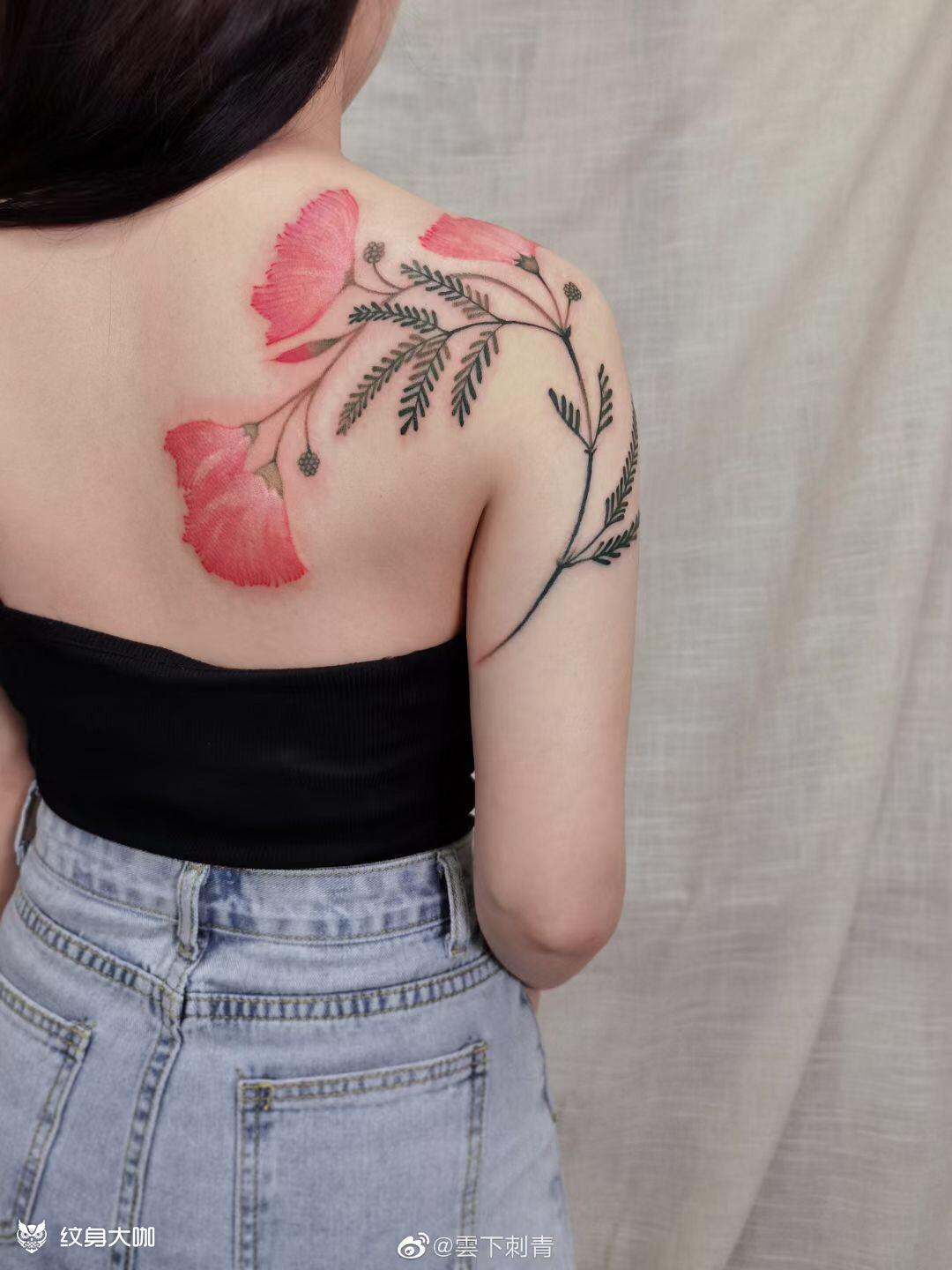 合欢花_纹身图案手稿图片_苍南的纹身作品集