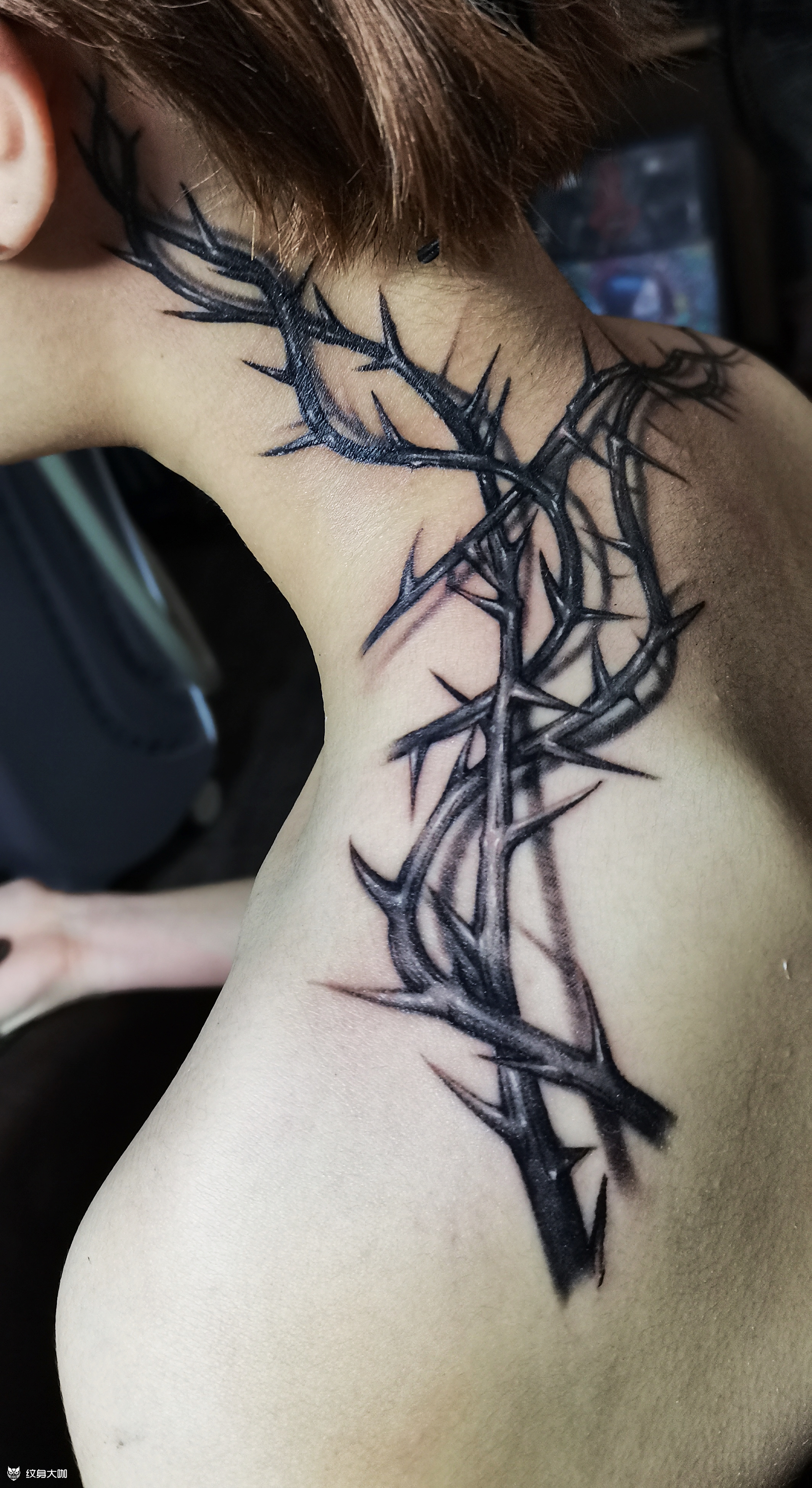 荆棘_纹身吧社区 - 纹身大咖