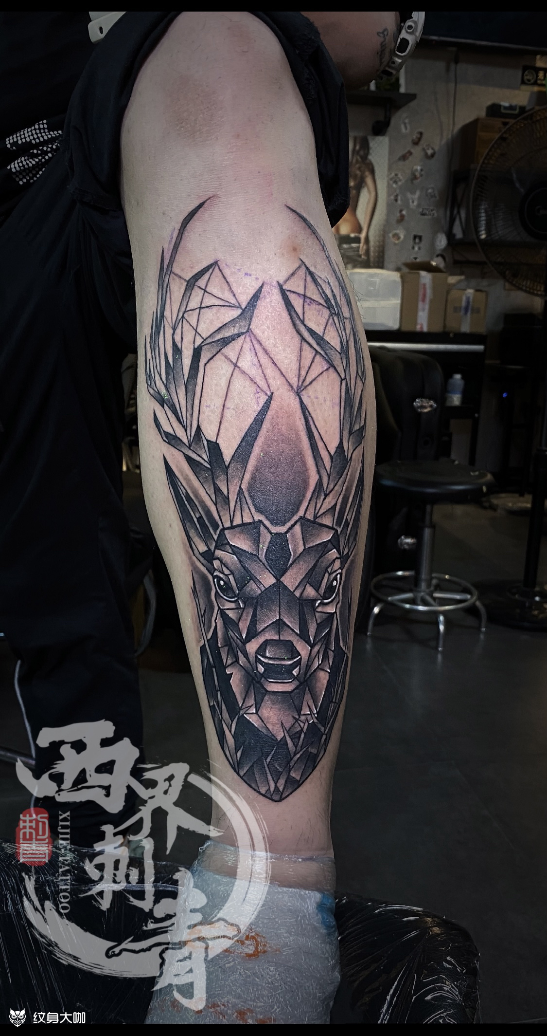 小腿几何鹿_纹身图案手稿图片_燕郊西界的纹身作品集