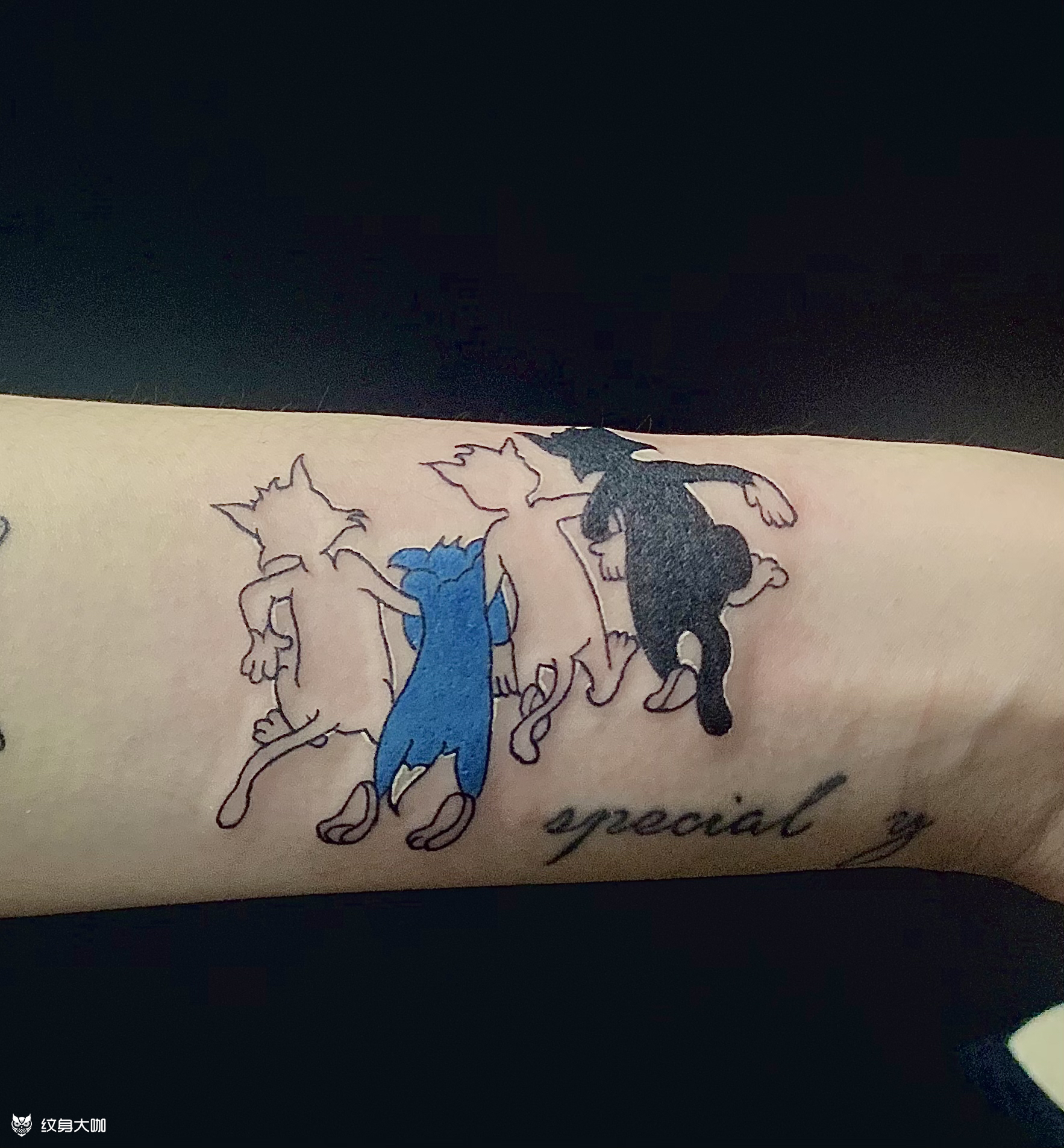猫和老鼠_纹身图案手稿图片_李昕雨的纹身作品集