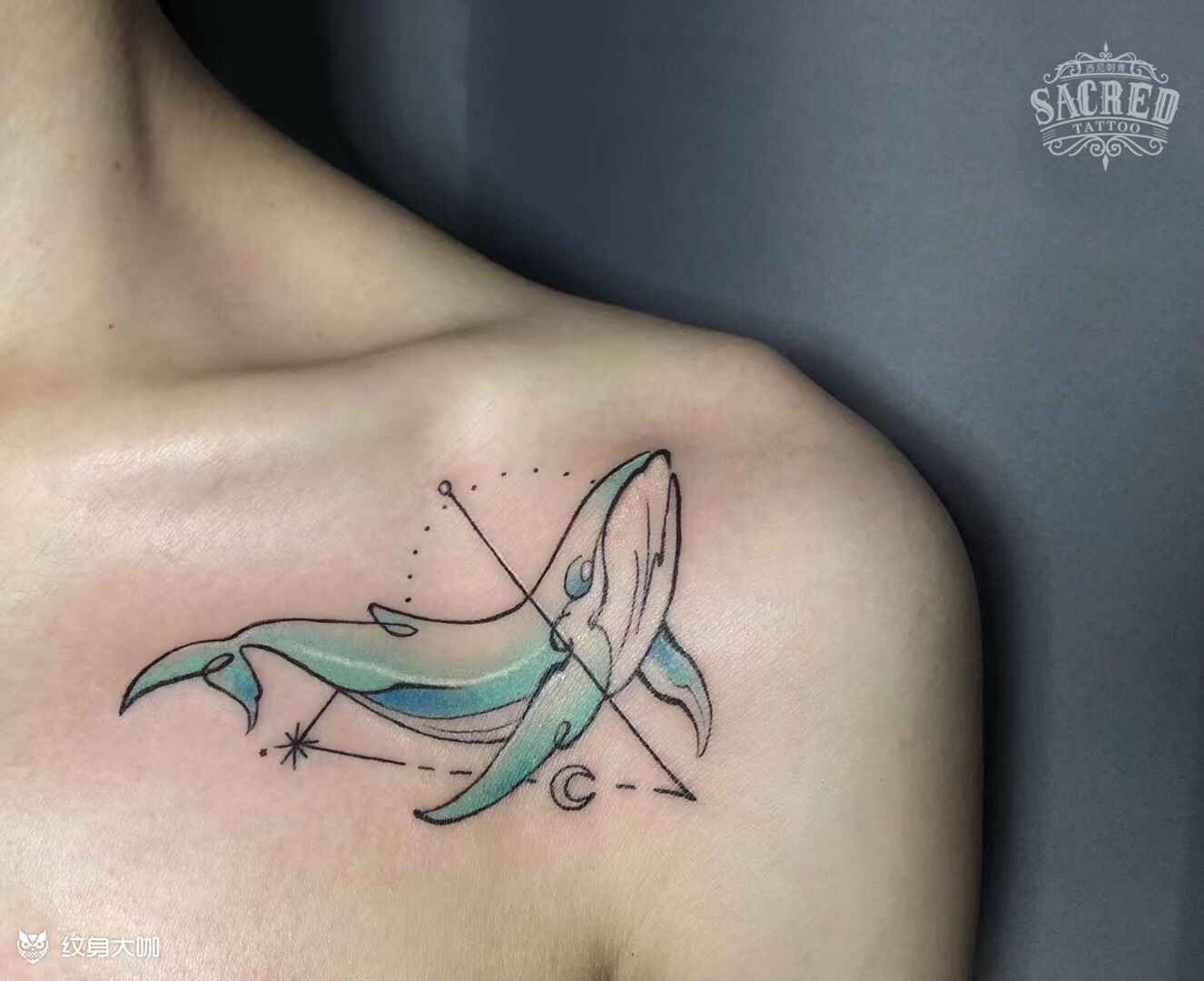 鲸鱼_纹身图案手稿图片_麟allen的纹身作品集