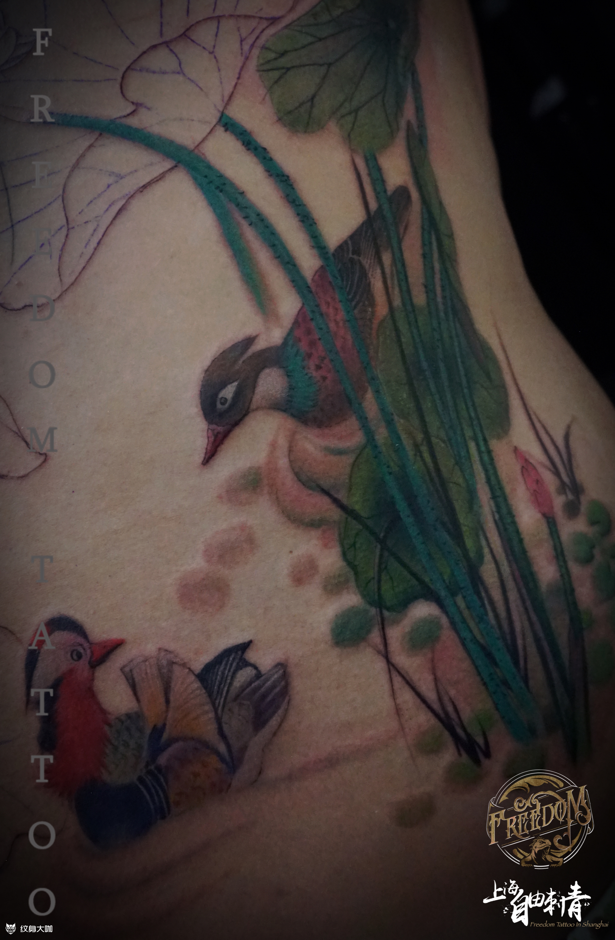 鸳鸯戏水 未完成_纹身图案手稿图片_自由的纹身作品集