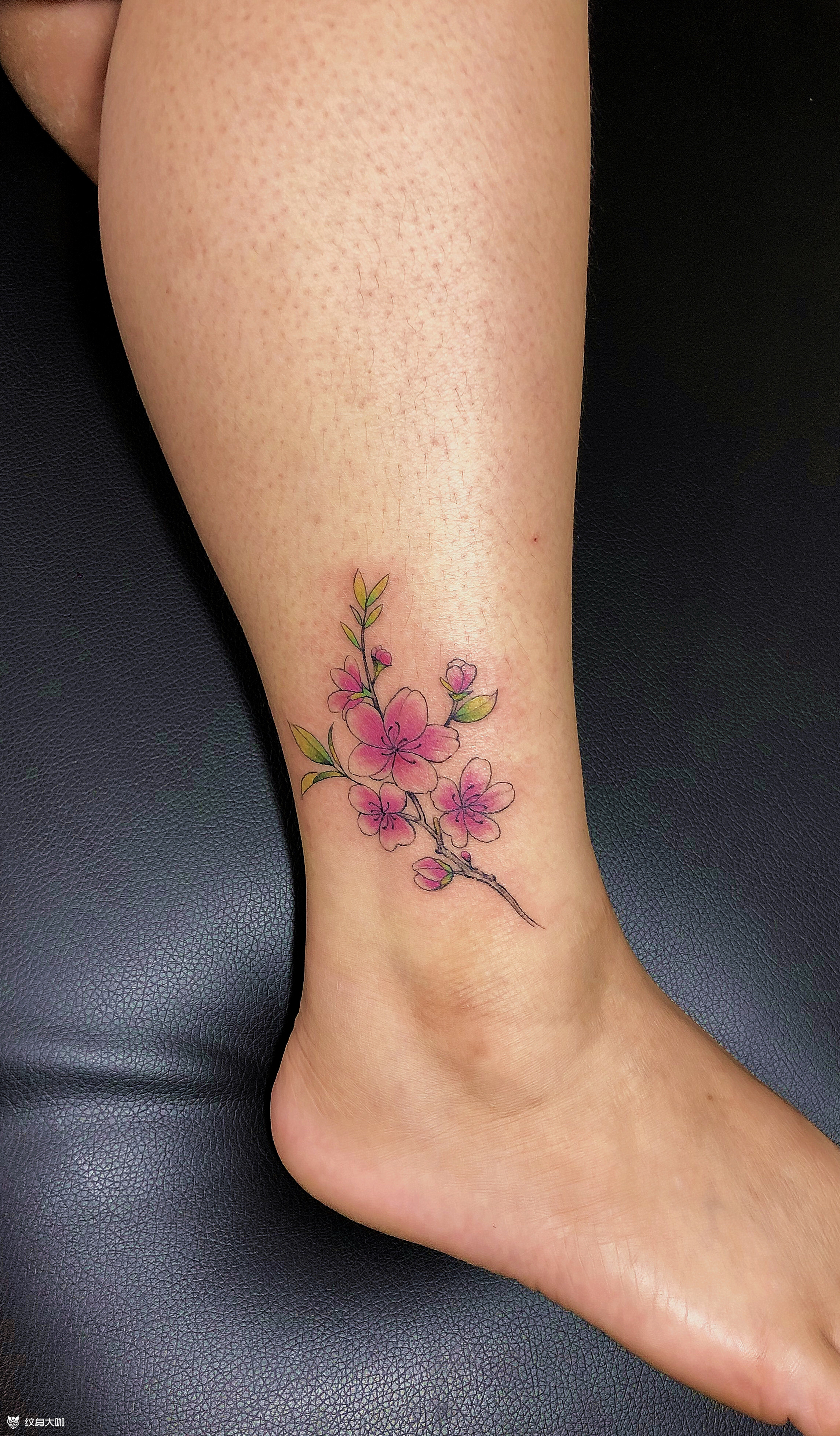 桃花_纹身图案手稿图片_筱波的纹身作品集