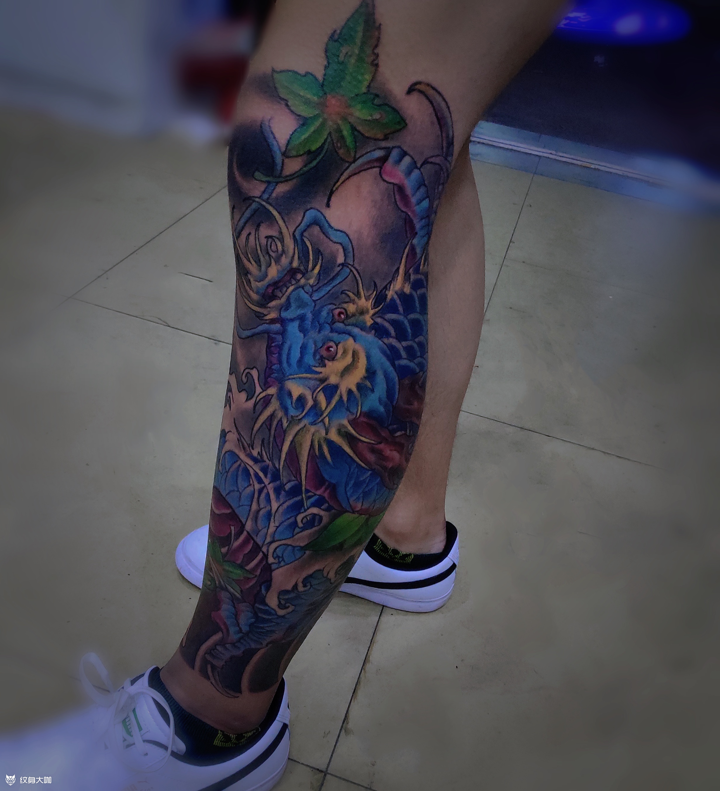 龙盘腿_纹身图案手稿图片_阿苗的纹身作品集