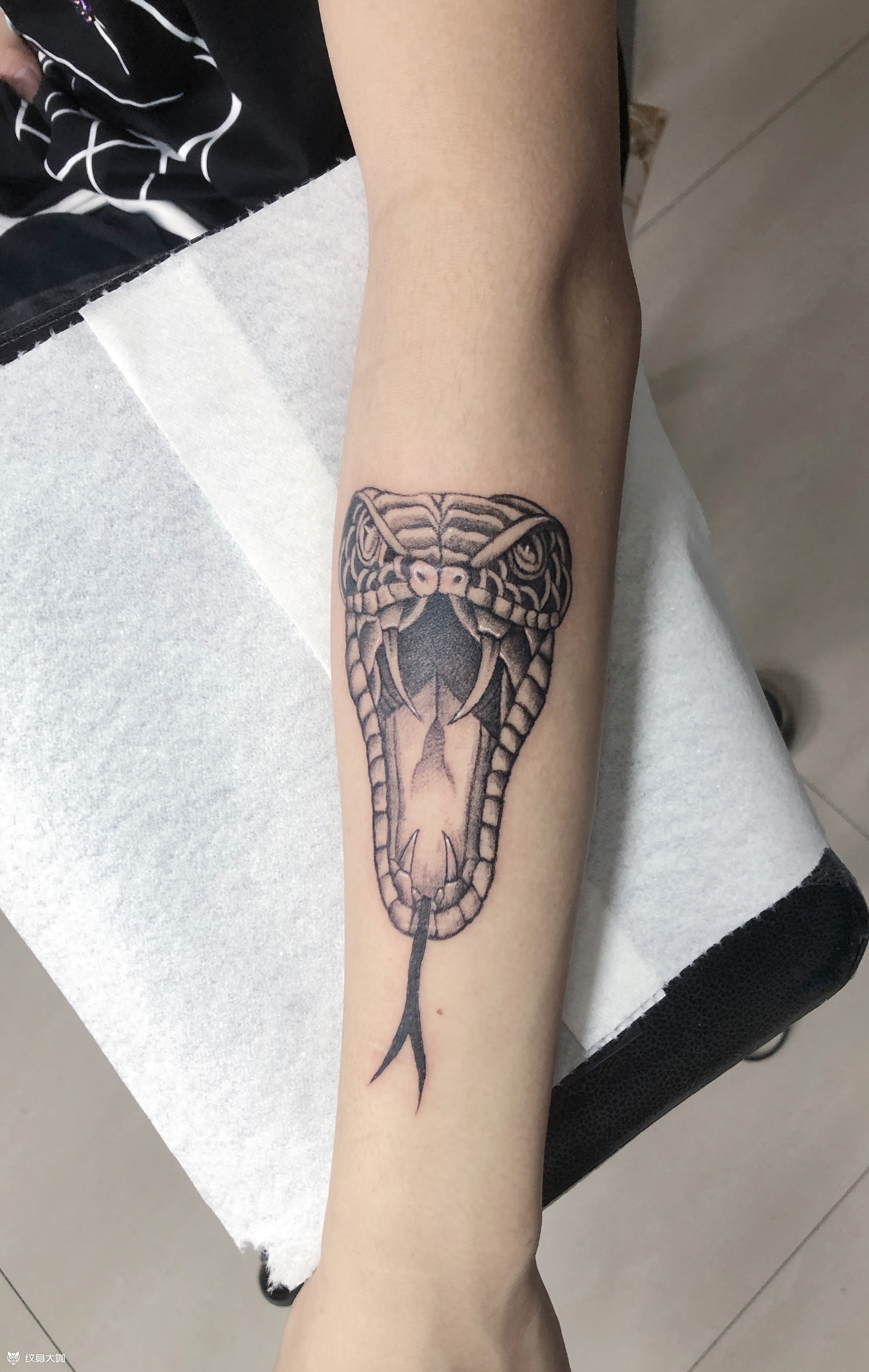 蛇头_纹身图案手稿图片_优酱的纹身作品集