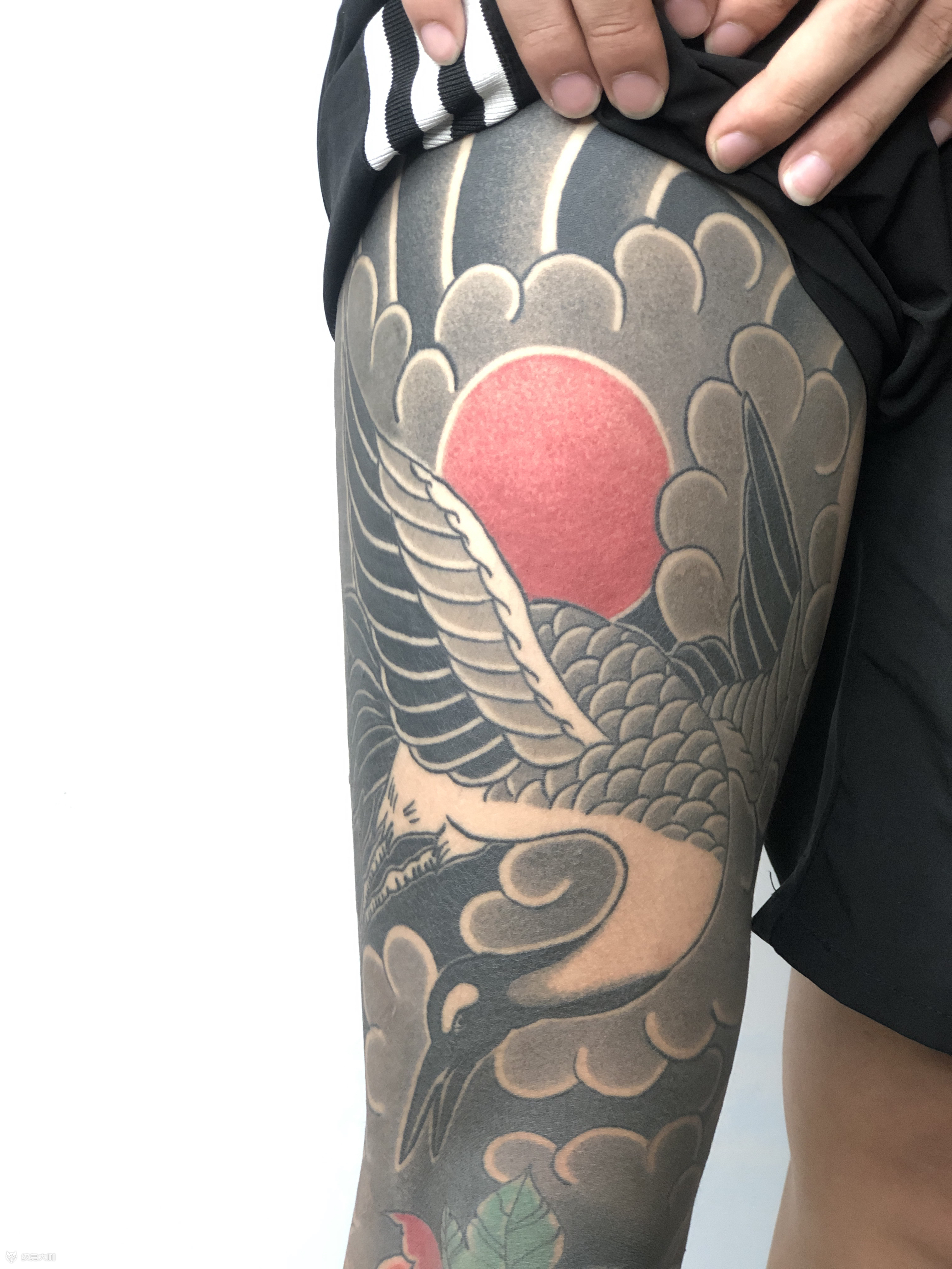 花腿大腿部分_纹身图案手稿图片_林文智的纹身作品集