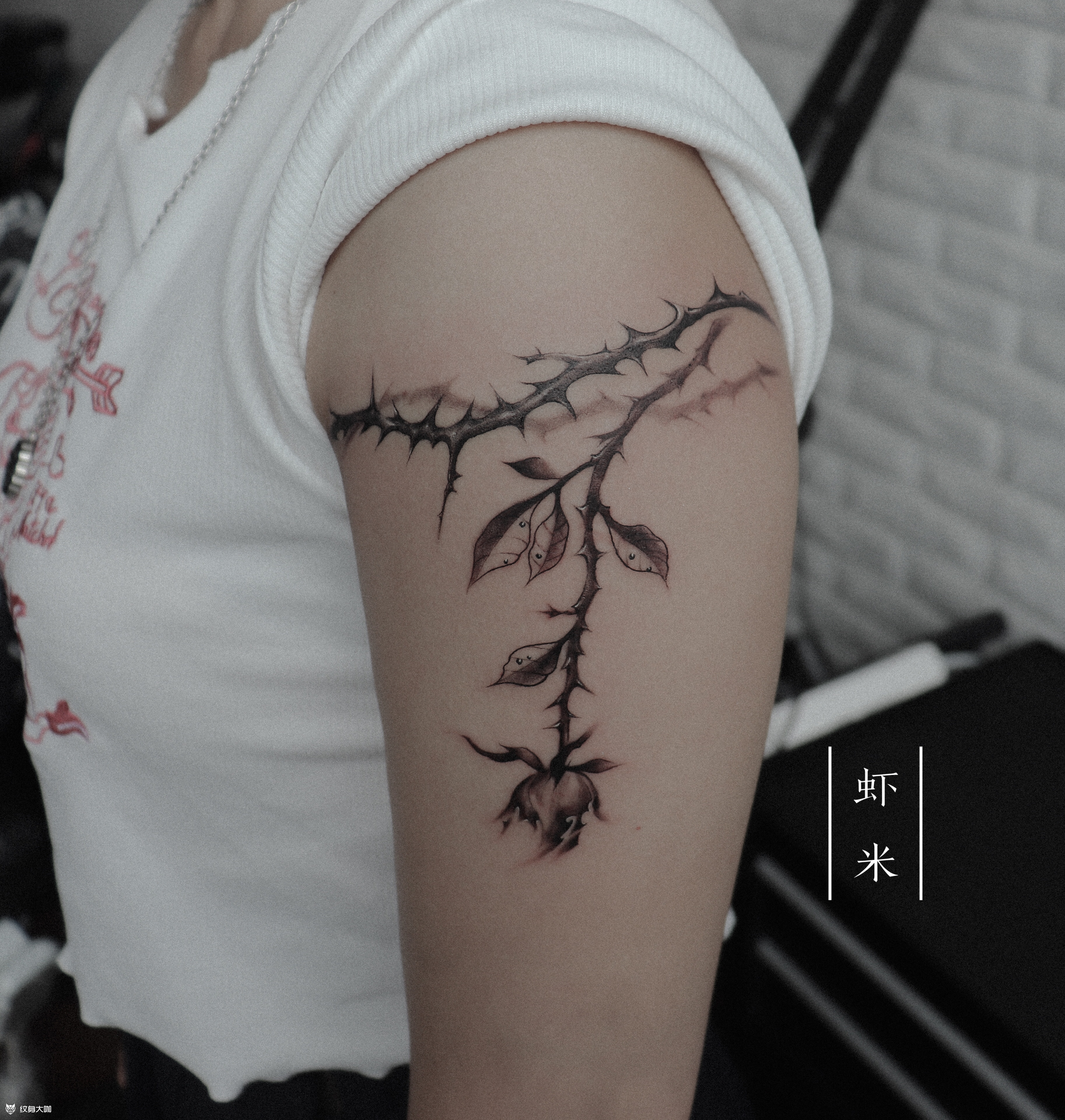 荆棘,玫瑰_纹身图案手稿图片_虾米的纹身作品集
