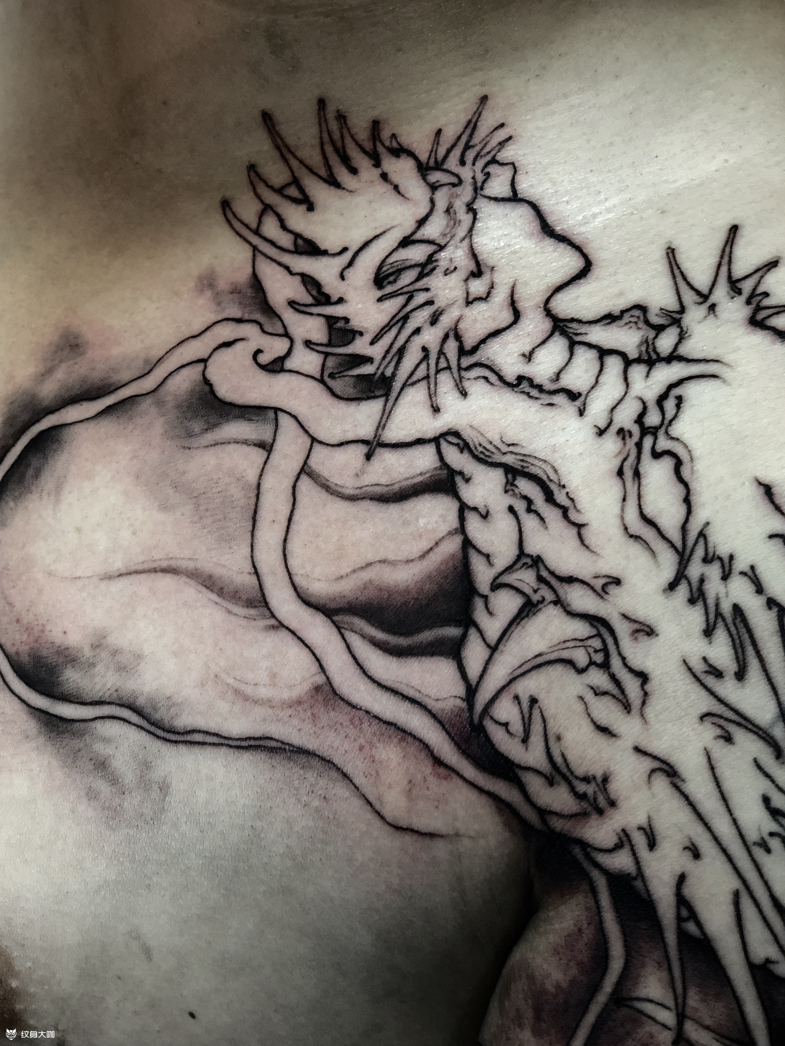 半胛龙_纹身图案手稿图片_谛吾的纹身作品集