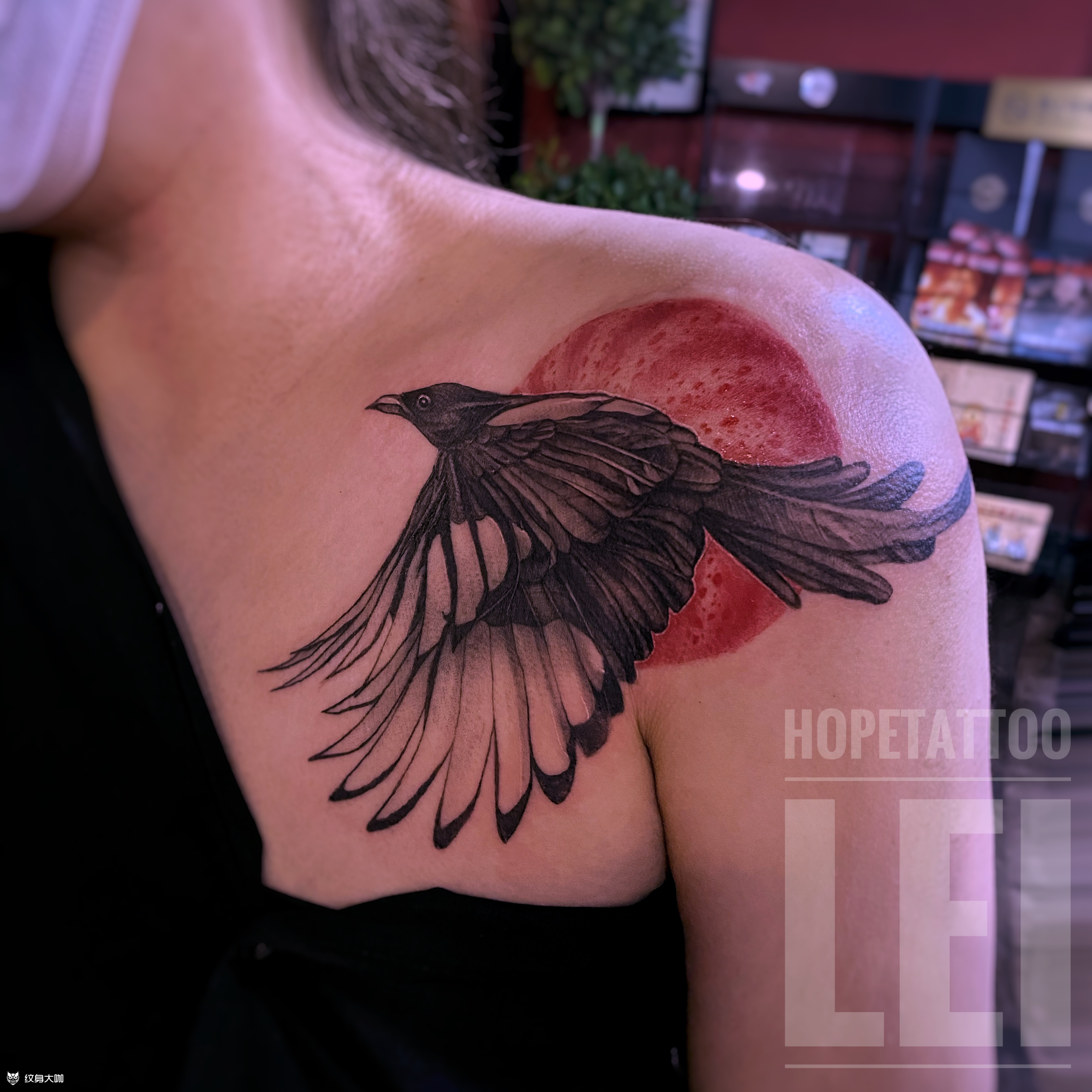 喜鹊_纹身图案手稿图片_lei的纹身作品集