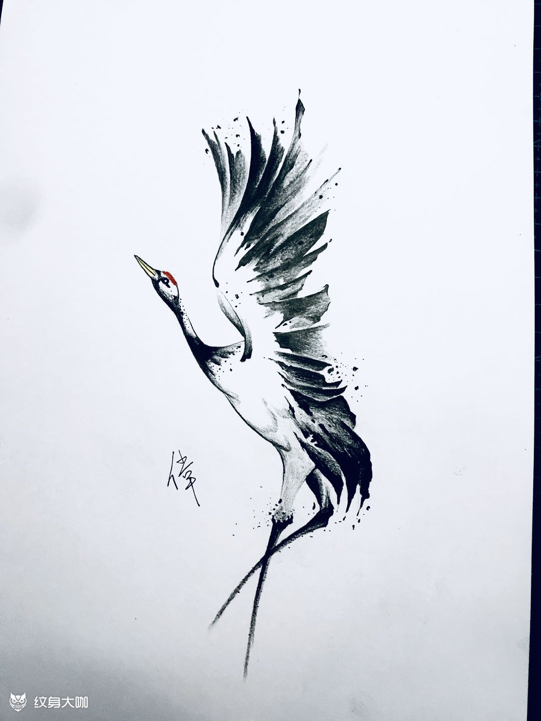 仙鹤手稿 作品_纹身图案手稿图片_张新伟的纹身作品集