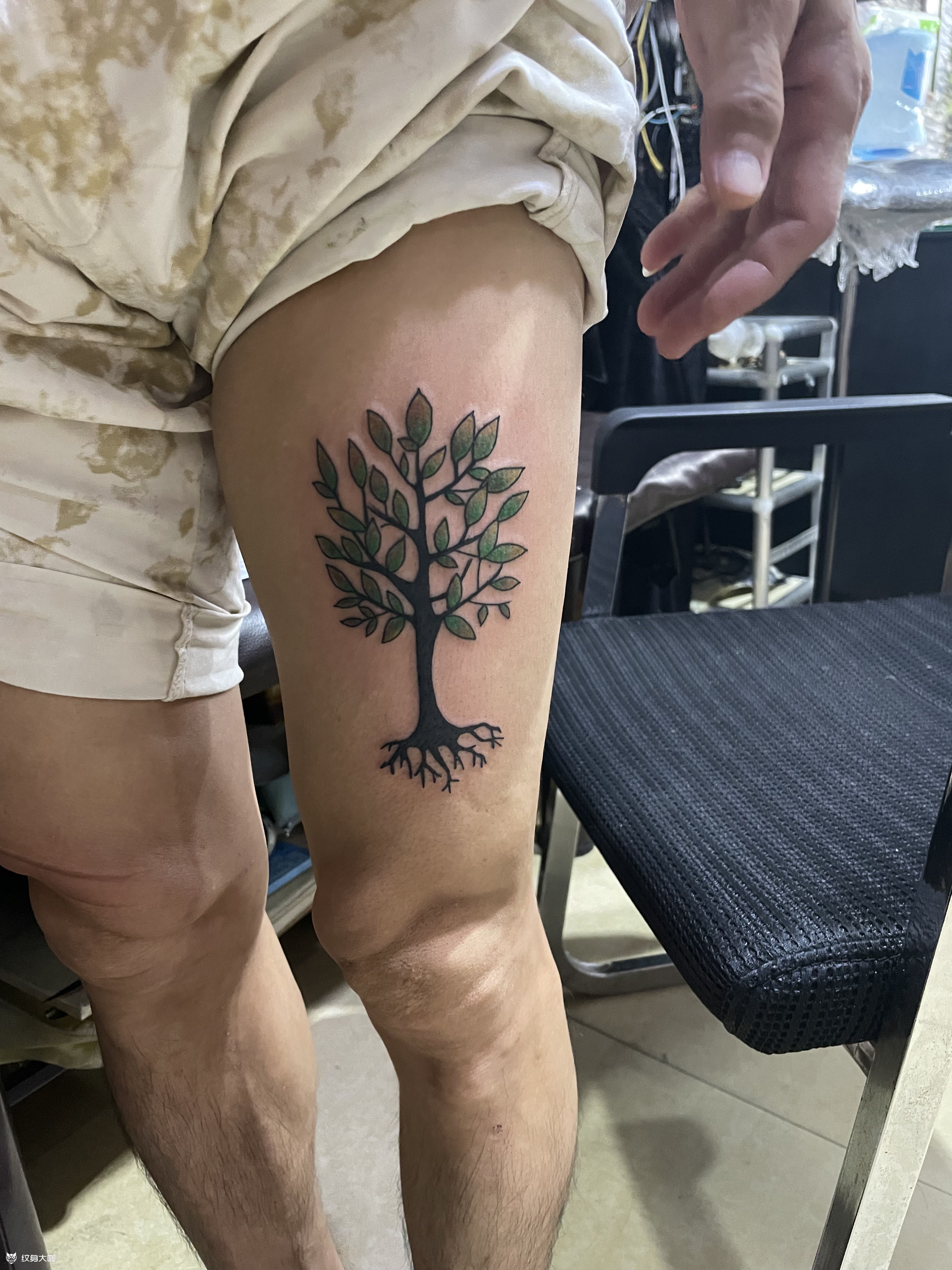 发财树_纹身吧社区 - 纹身大咖