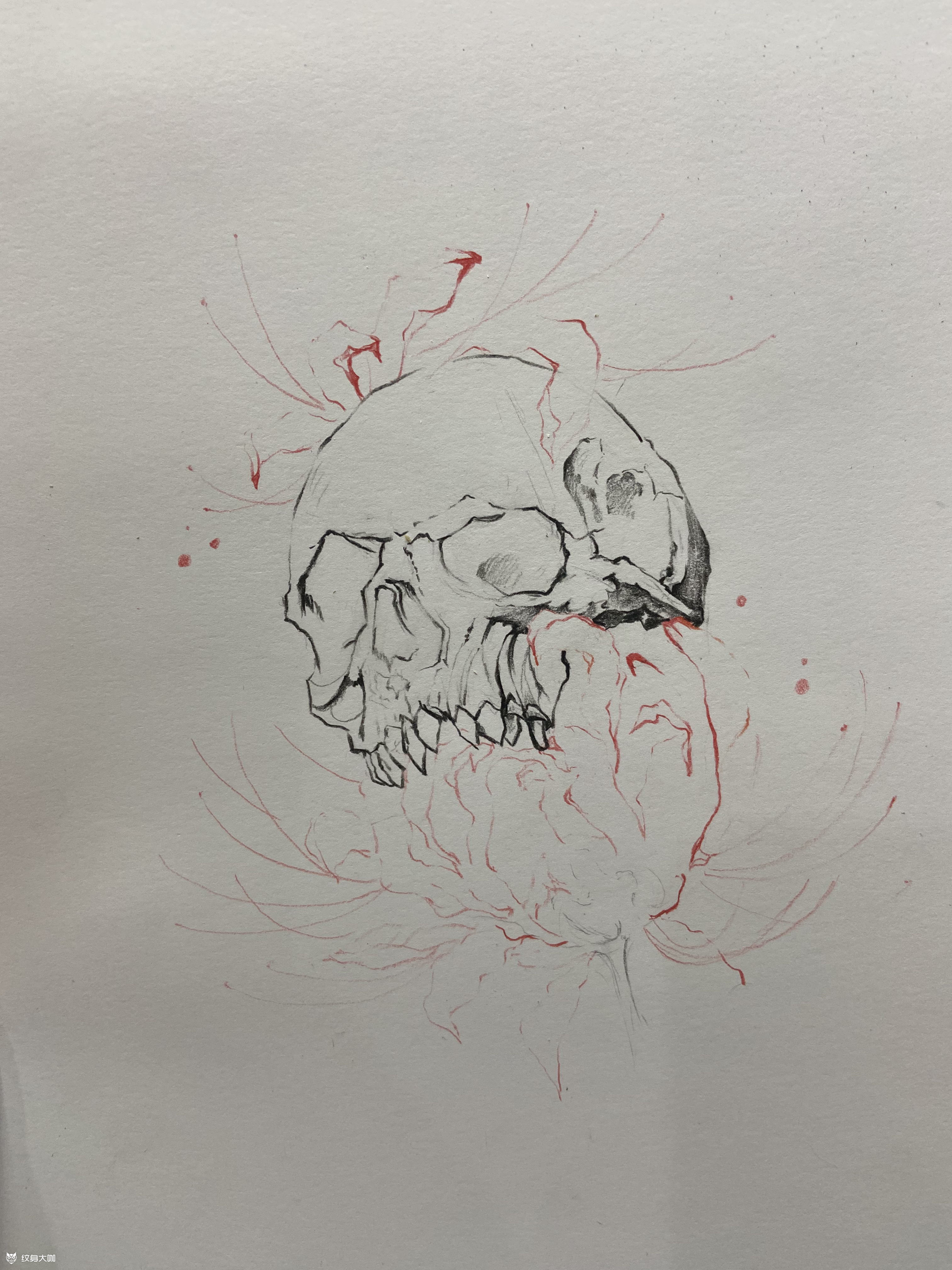 骷髅彼岸花作品手稿