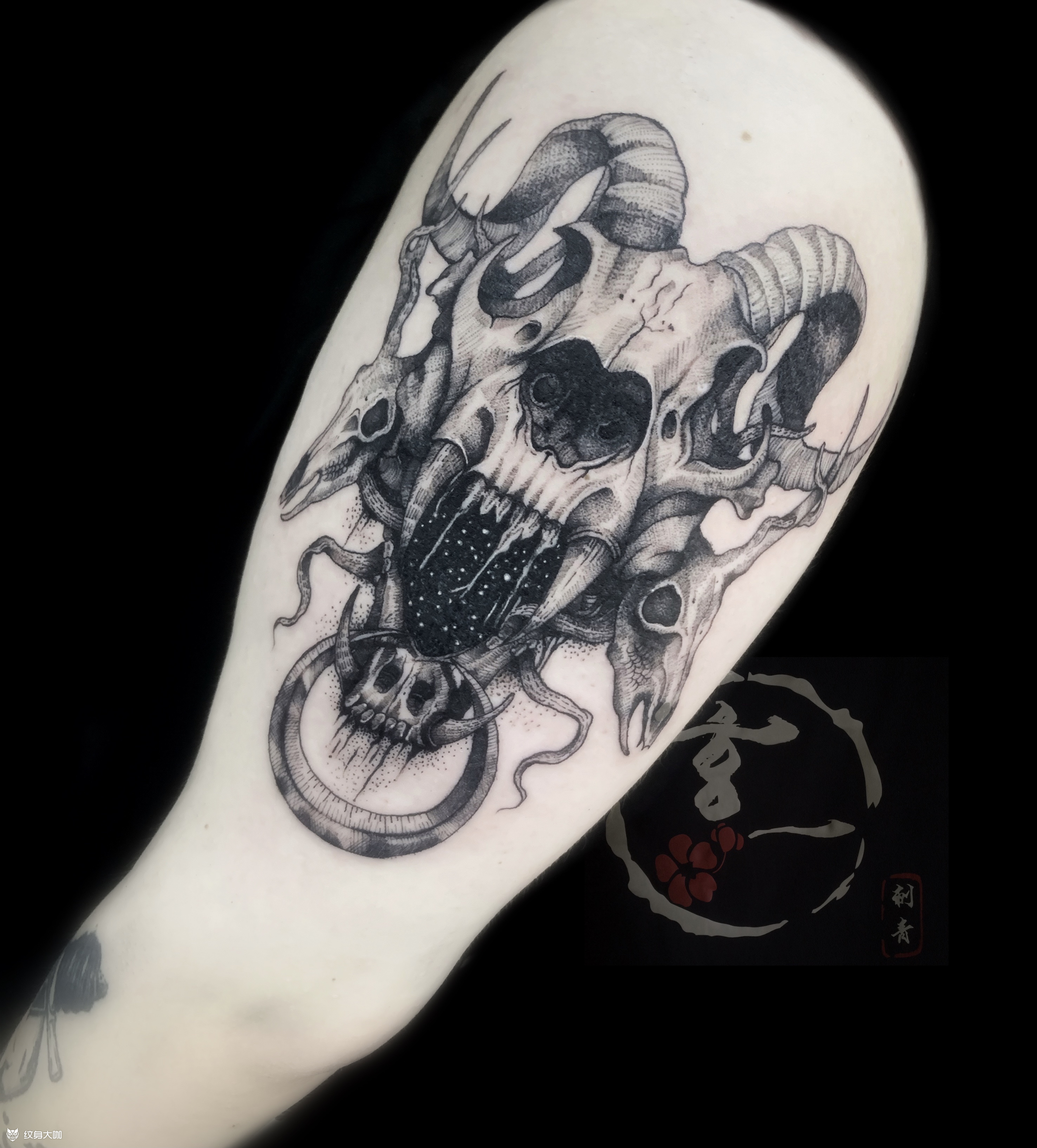 羊头_纹身图案手稿图片_潘潘的纹身作品集