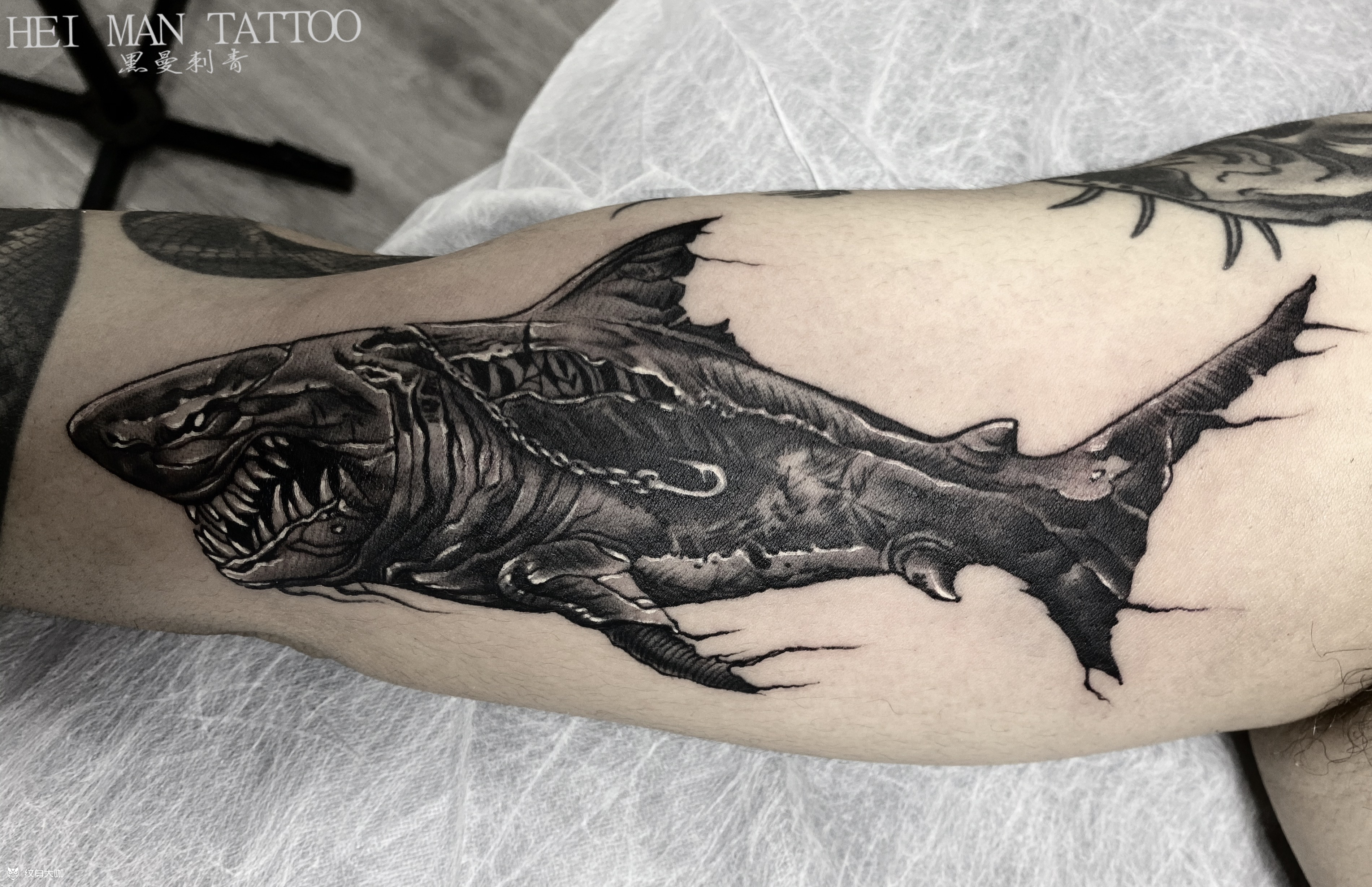 鲨鱼_纹身图案手稿图片_刘江的纹身作品集
