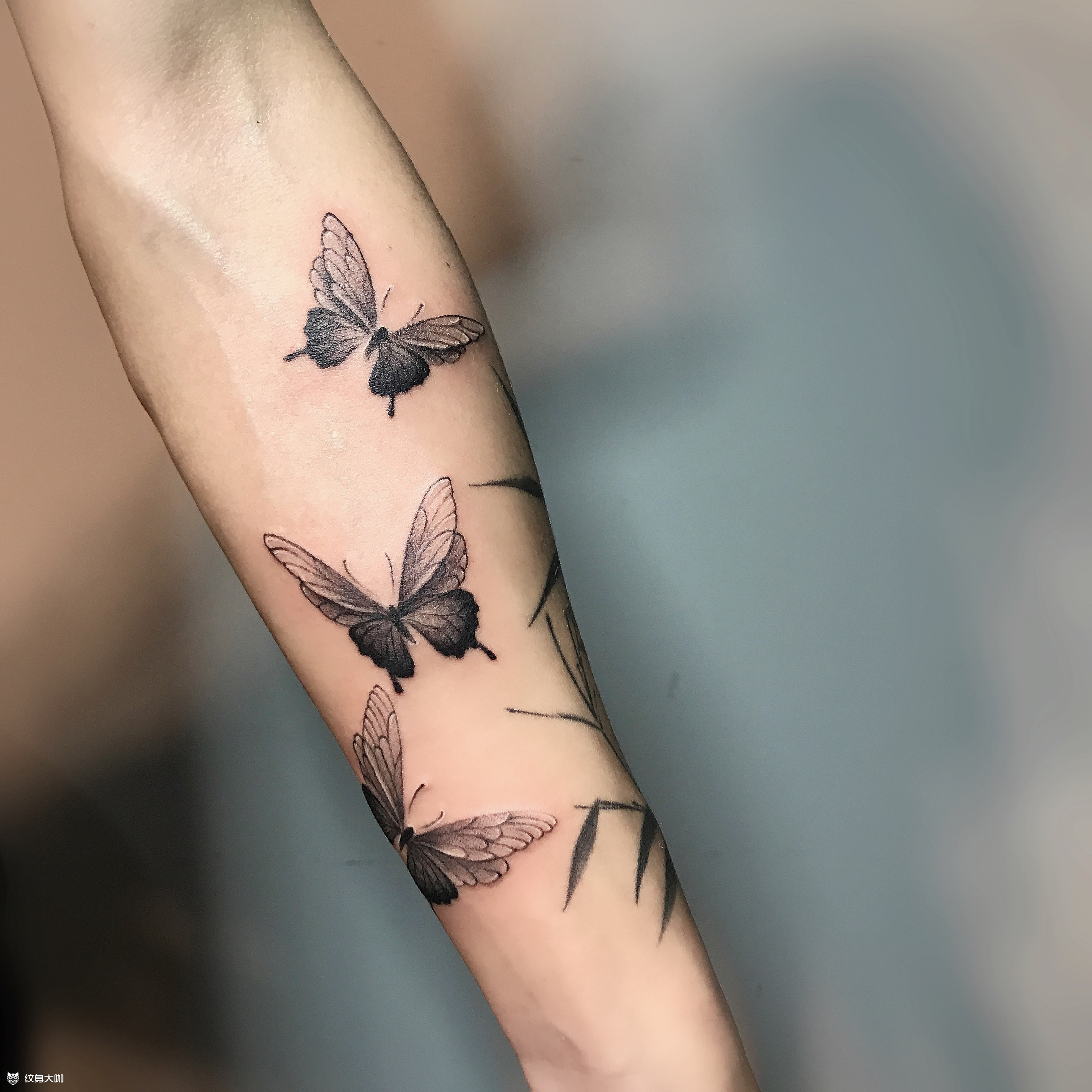 黑灰蝴蝶_纹身图案手稿图片_付露的纹身作品集