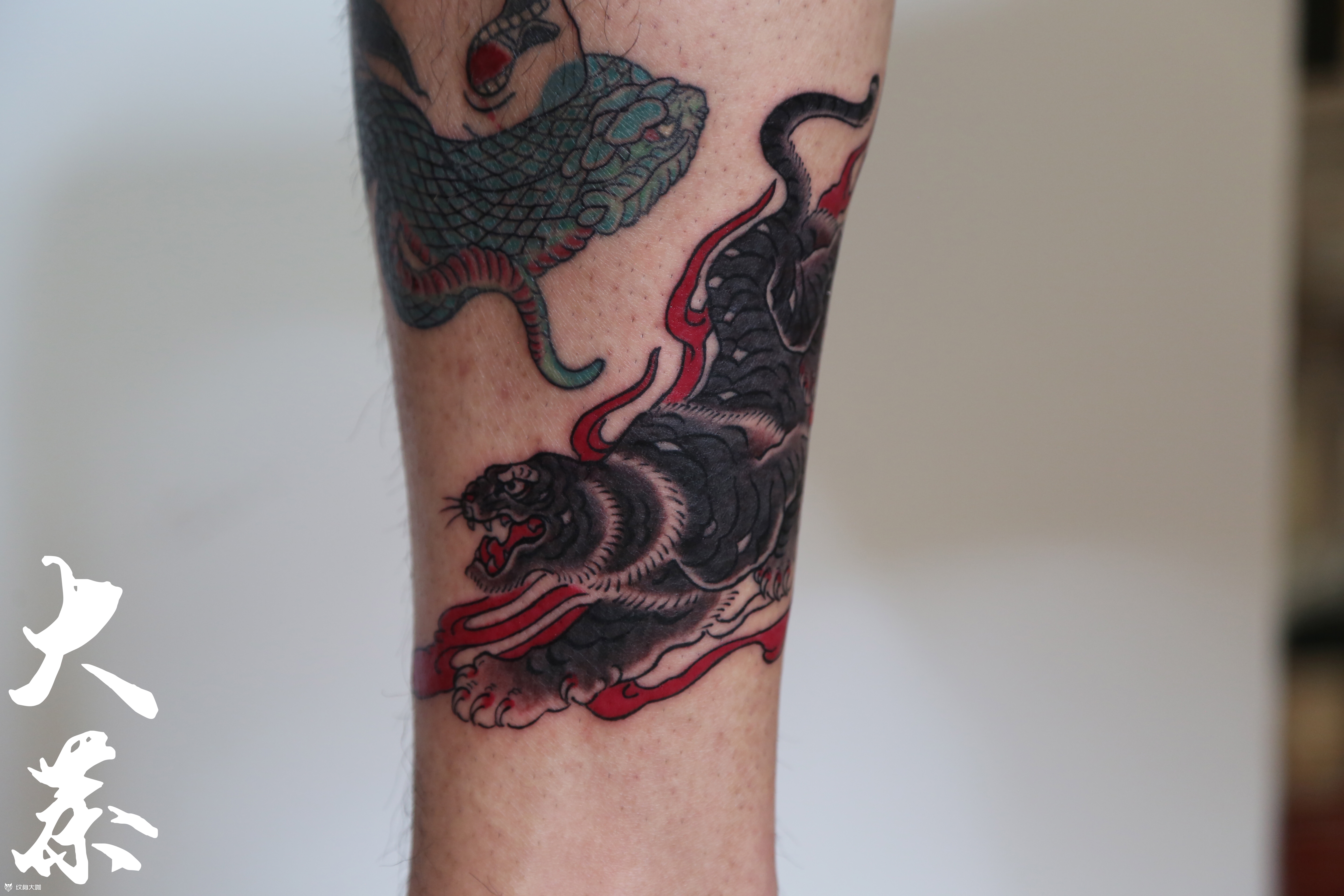 日式 虎_纹身图案手稿图片_玥彤学姐mmm的纹身作品集