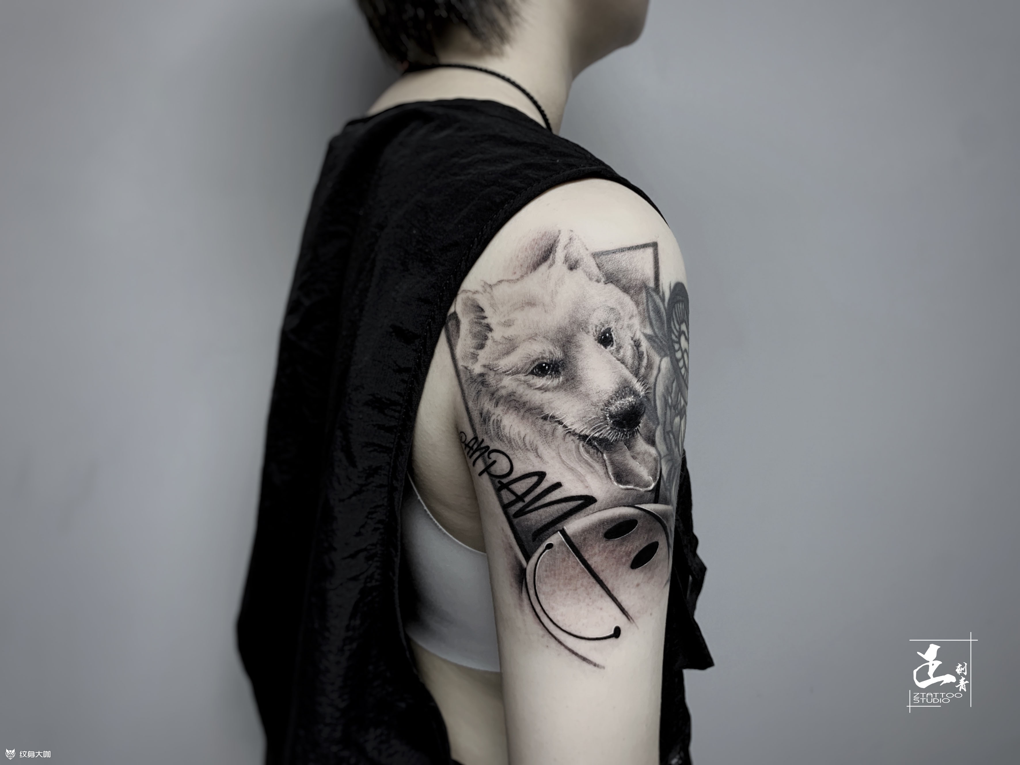 萨摩耶_纹身图案手稿图片_晓鹏的纹身作品集