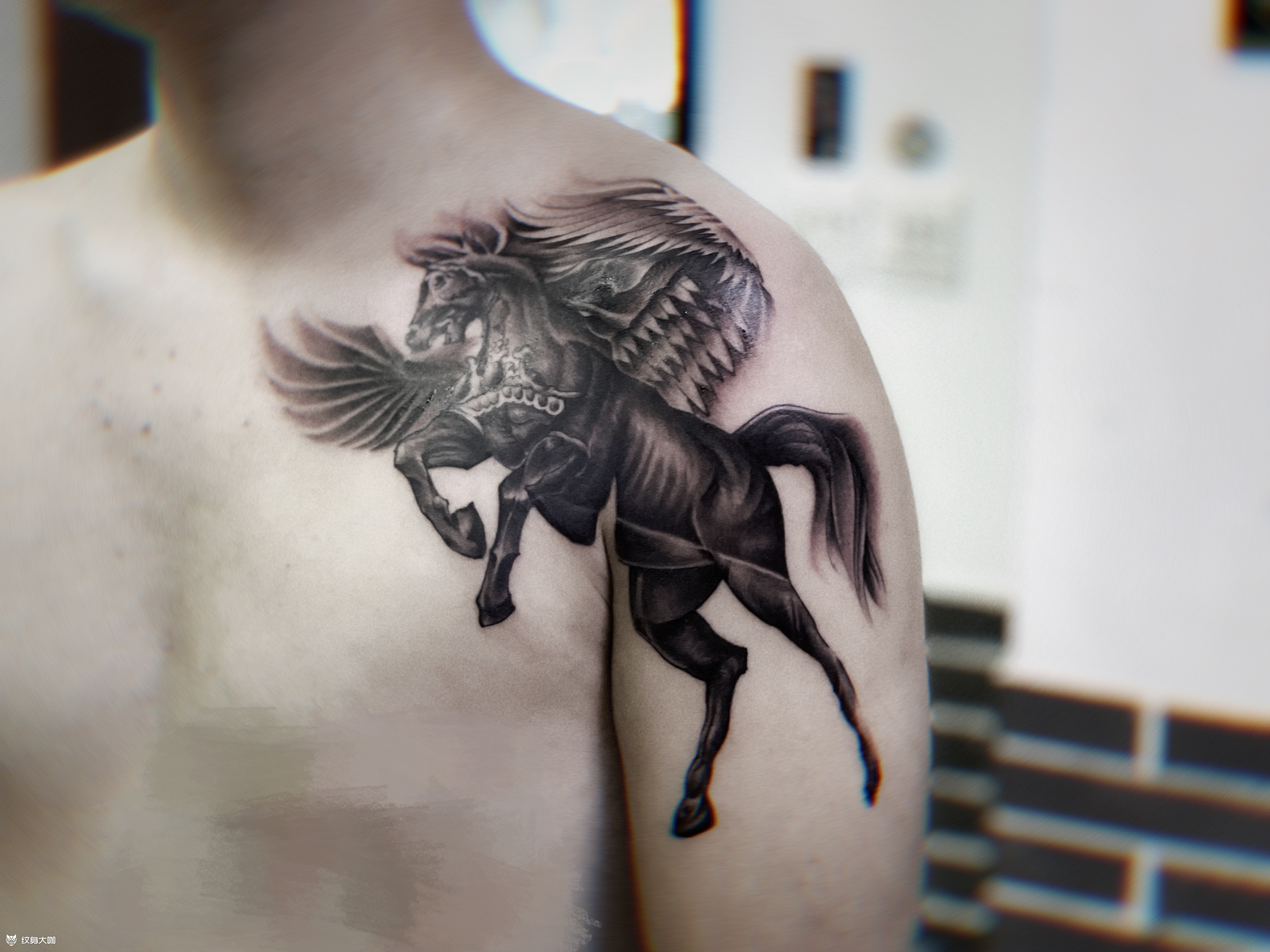 天马,马_纹身图案手稿图片_金龙的纹身作品集