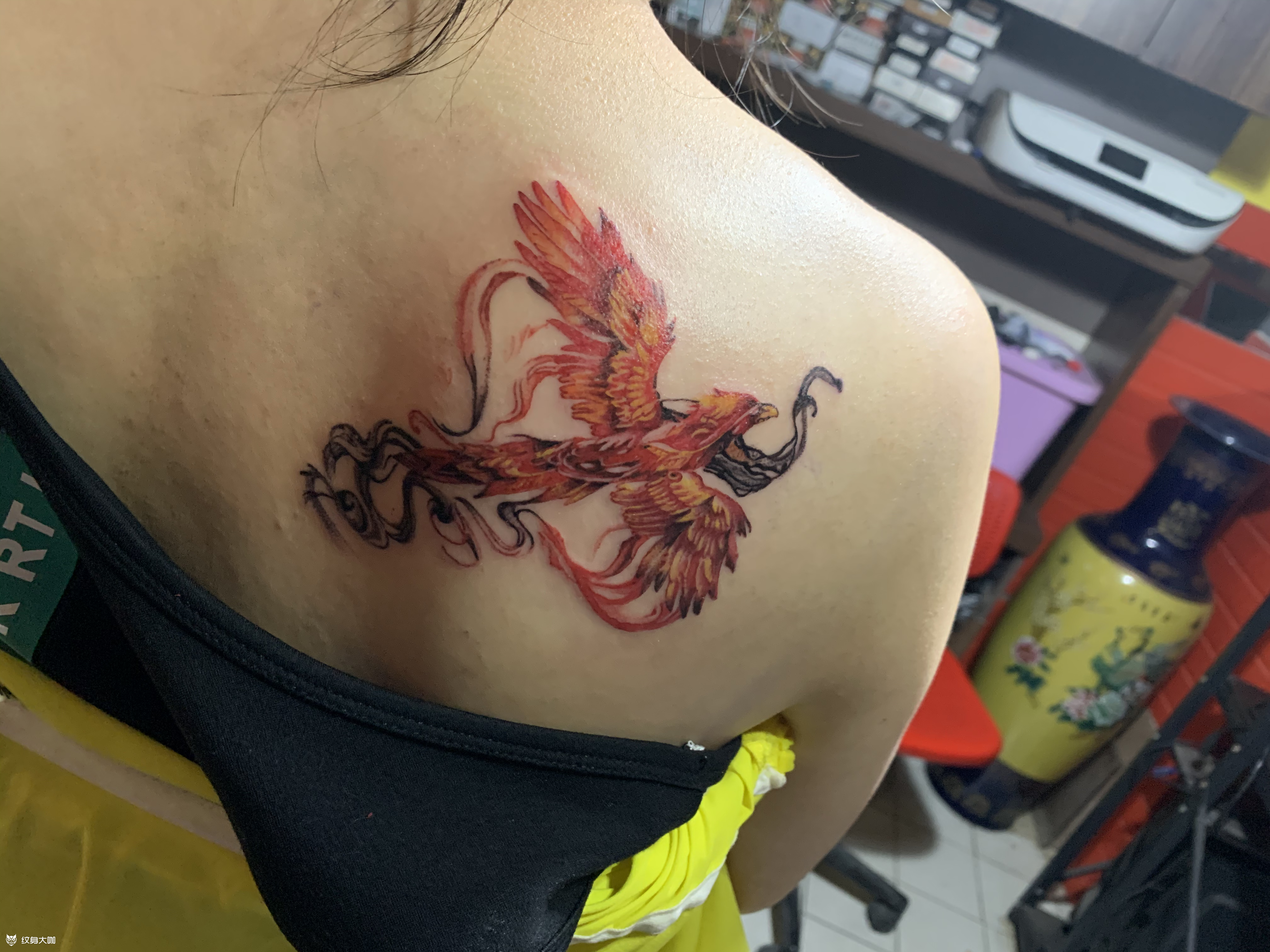 火凤凰_纹身吧社区 - 纹身大咖