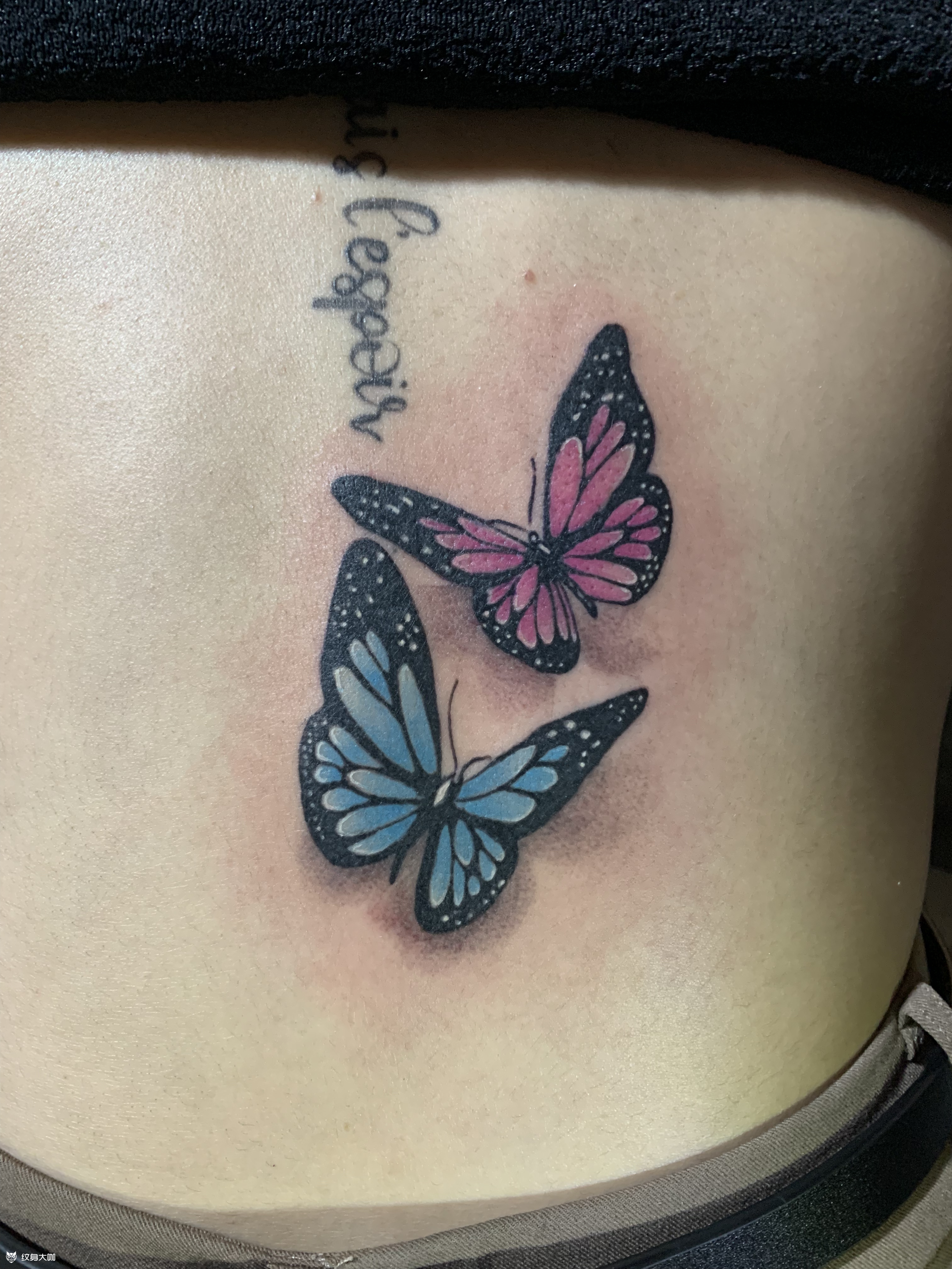 蝴蝶遮盖_纹身图案手稿图片_六道佩奇的纹身作品集