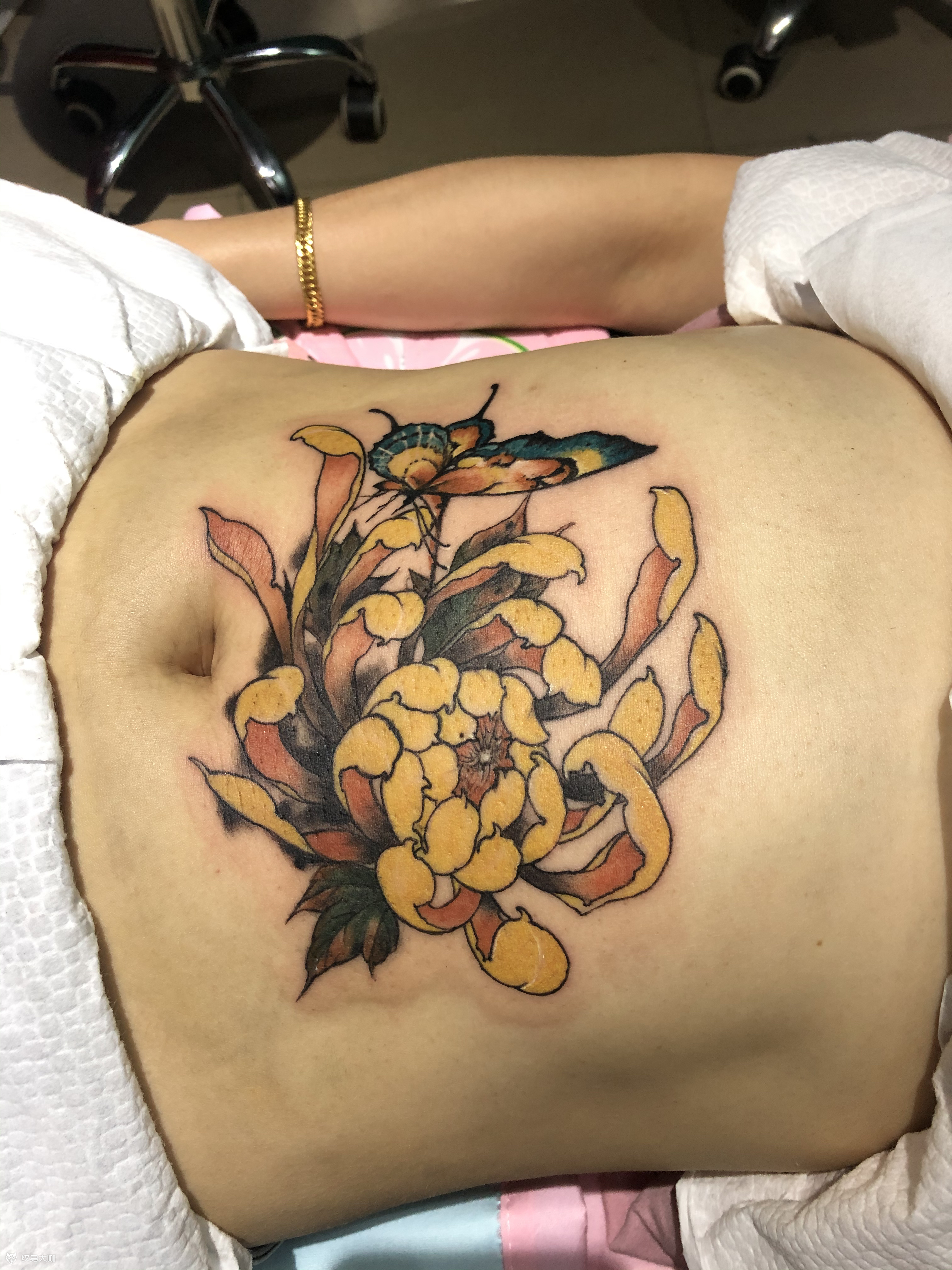 菊花肚皮_纹身图案手稿图片_麻花的纹身作品集