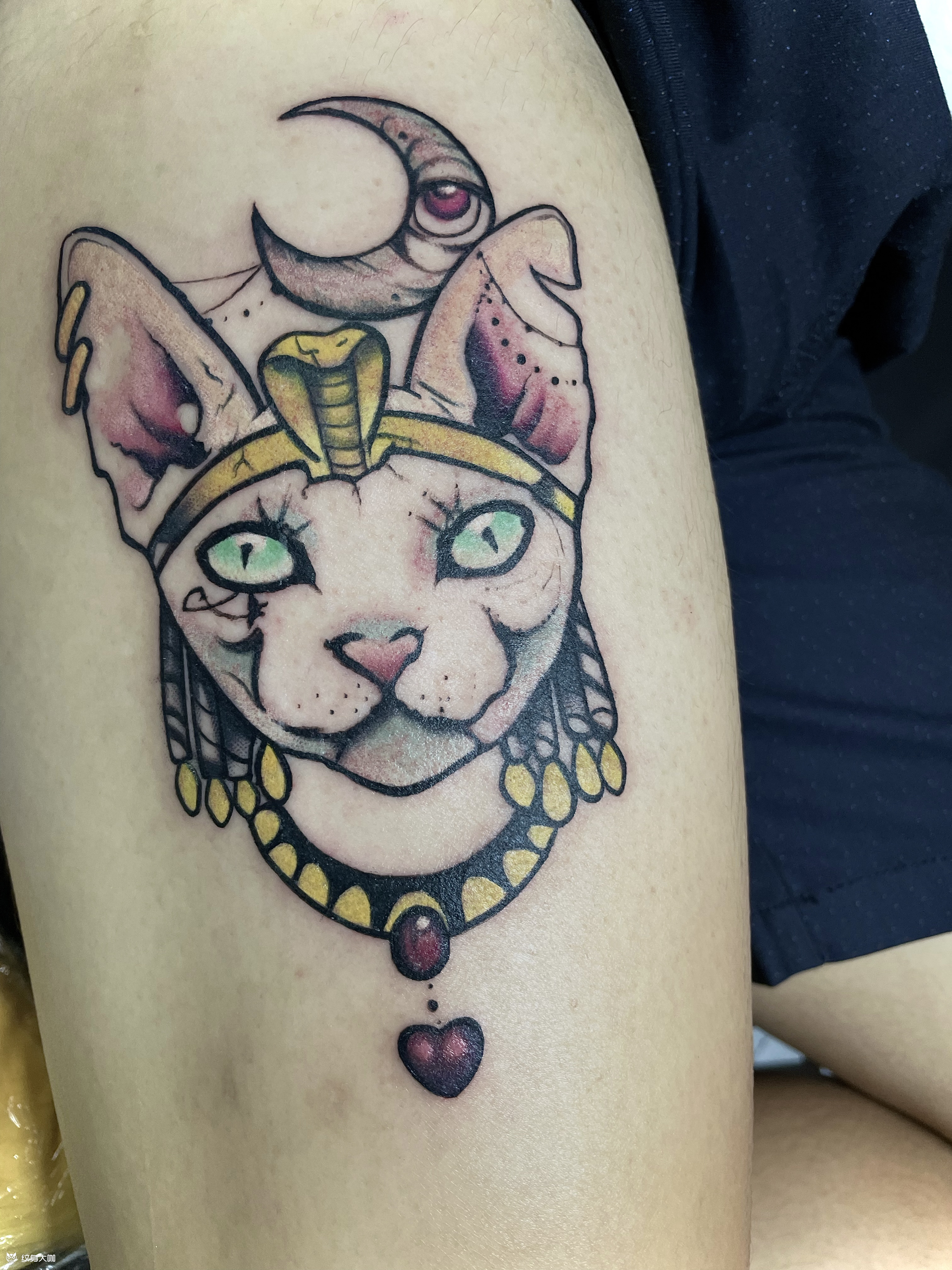 斯芬克斯猫_纹身图案手稿图片_久儿的纹身作品集