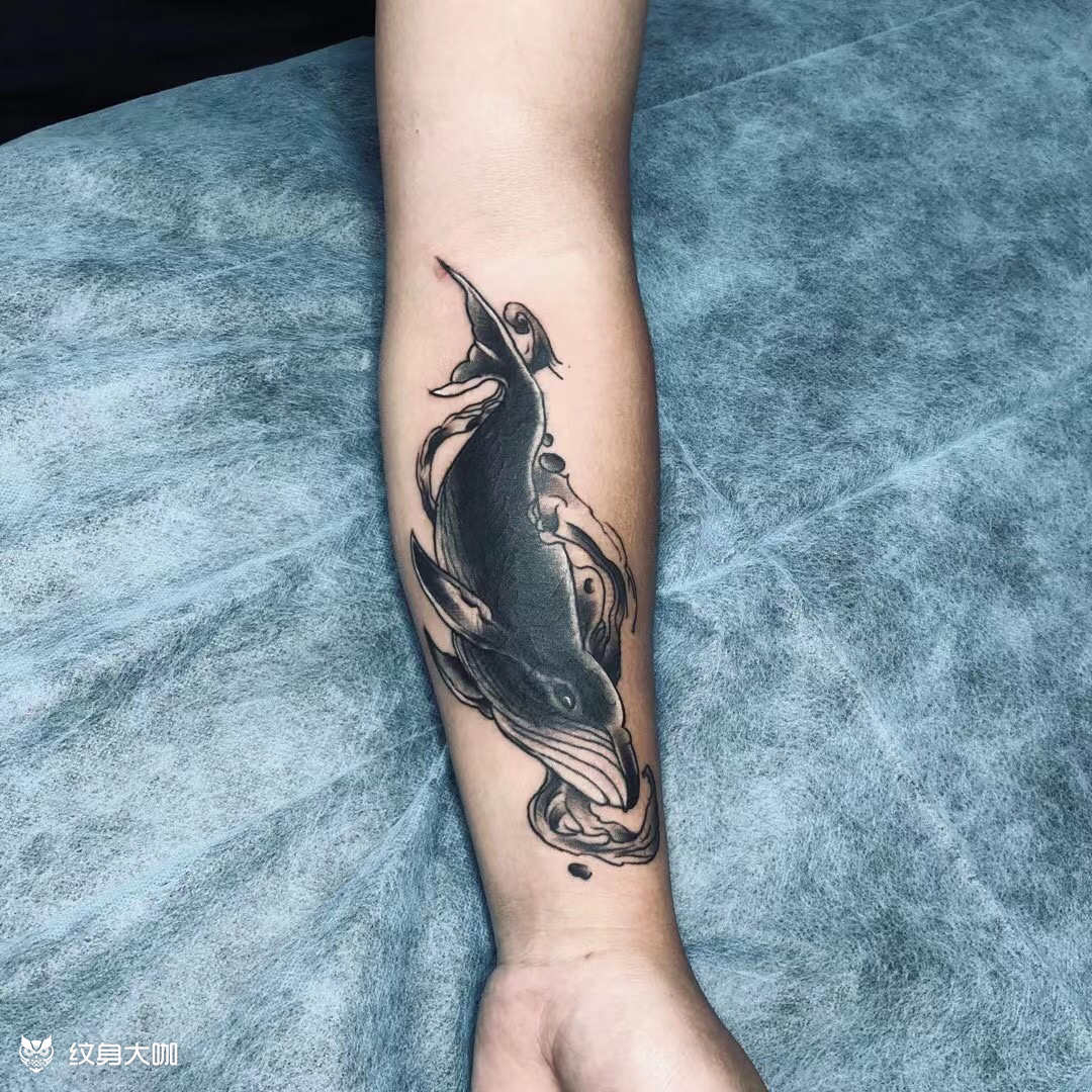 鲸鱼遮盖旧纹身