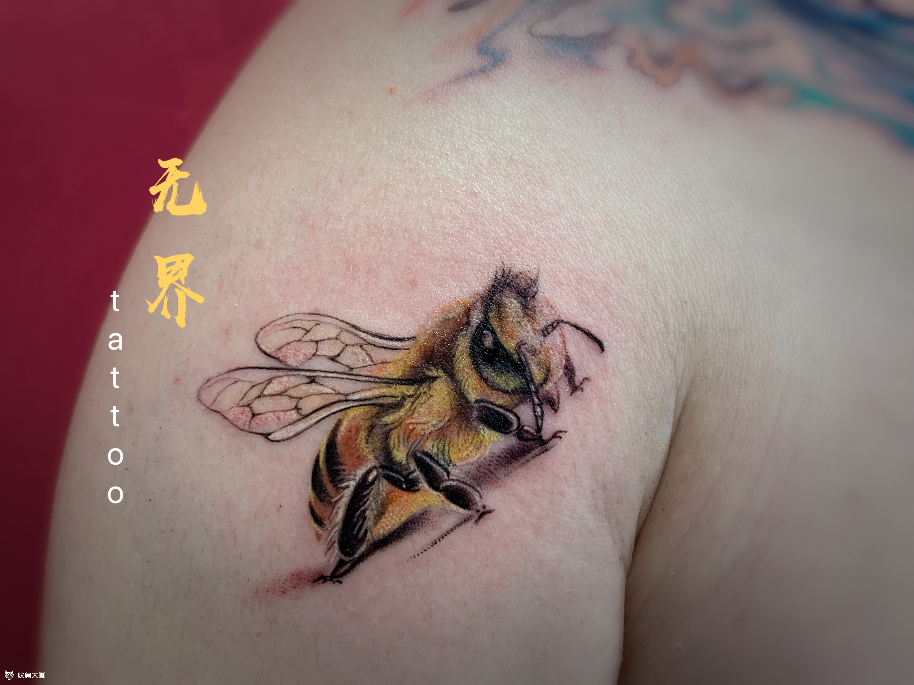 蜜蜂_纹身图案手稿图片_沈冰洁的纹身作品集