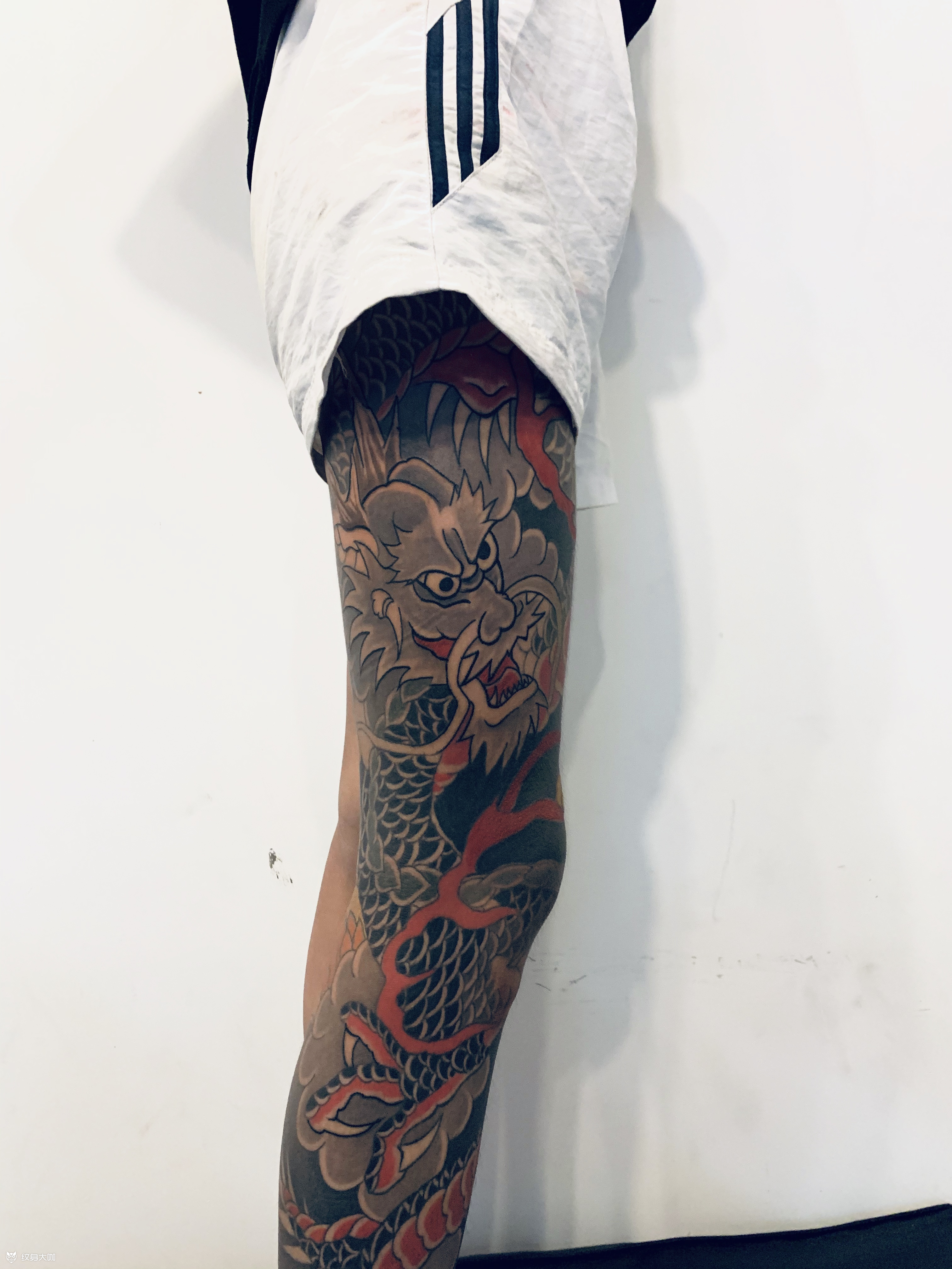 盘龙腿_纹身图案手稿图片_锲墨(凯)的纹身作品集