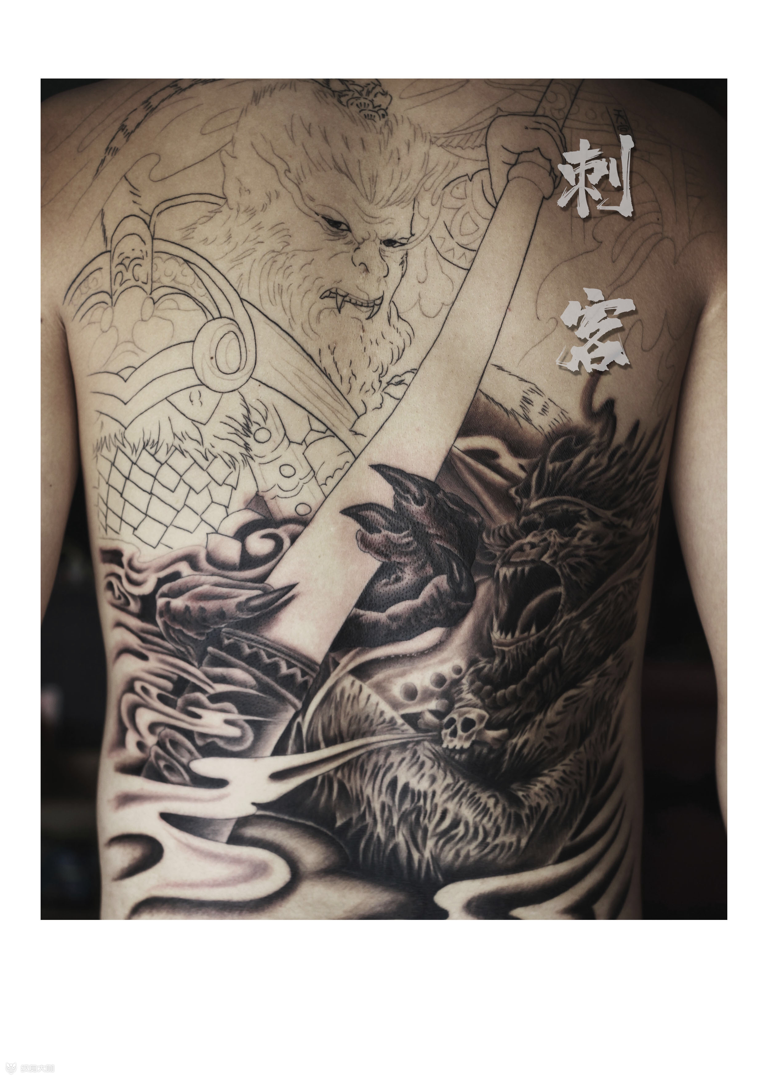 猴子满背未完成20