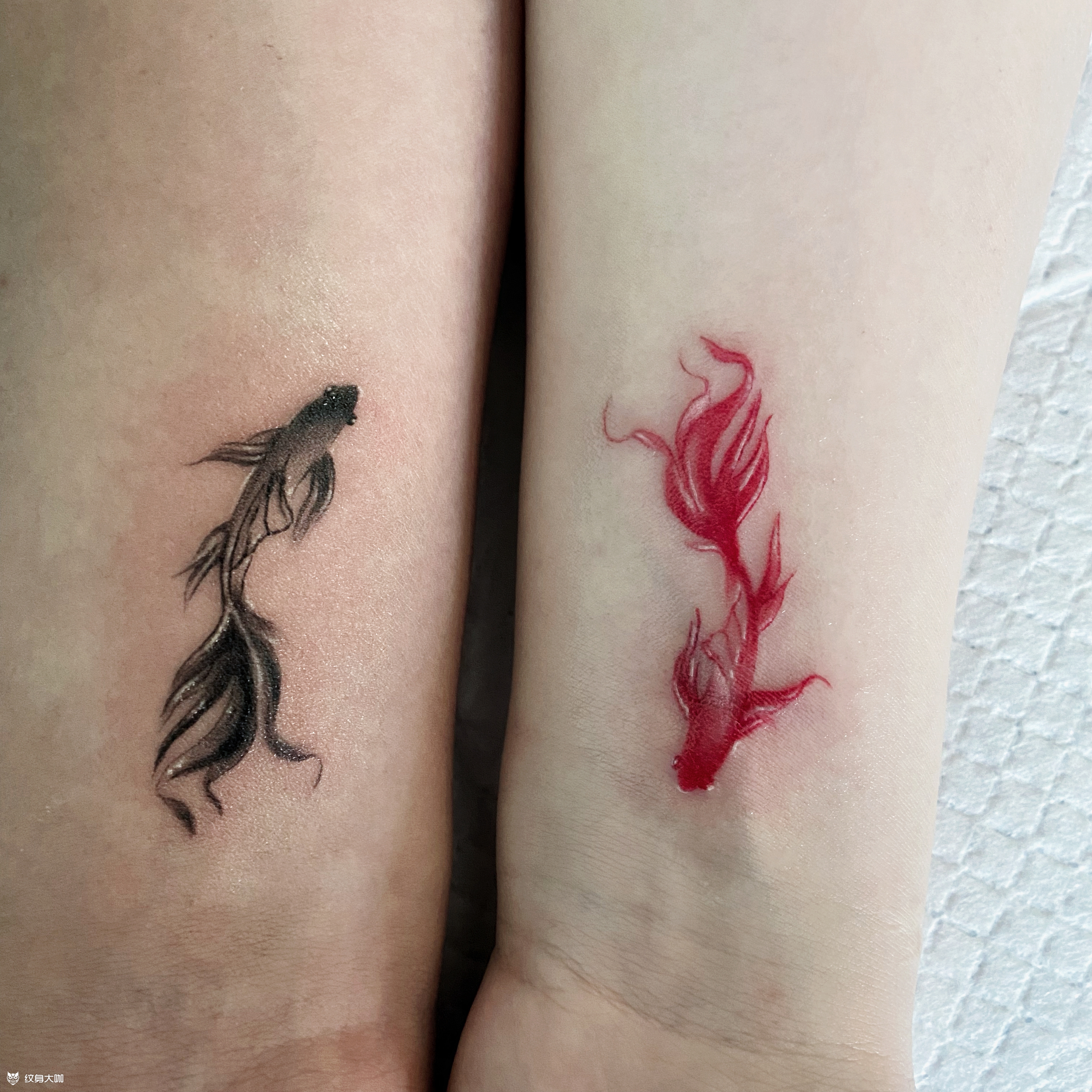 情侣鱼_纹身图案手稿图片_钱明月的纹身作品集