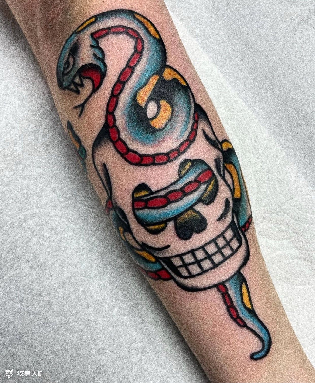 old school 蛇_纹身图案手稿图片_jd的纹身作品集