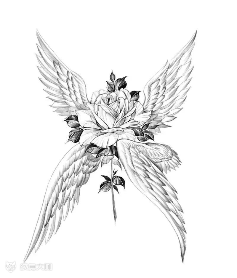 翅膀手稿_纹身吧社区 - 纹身大咖