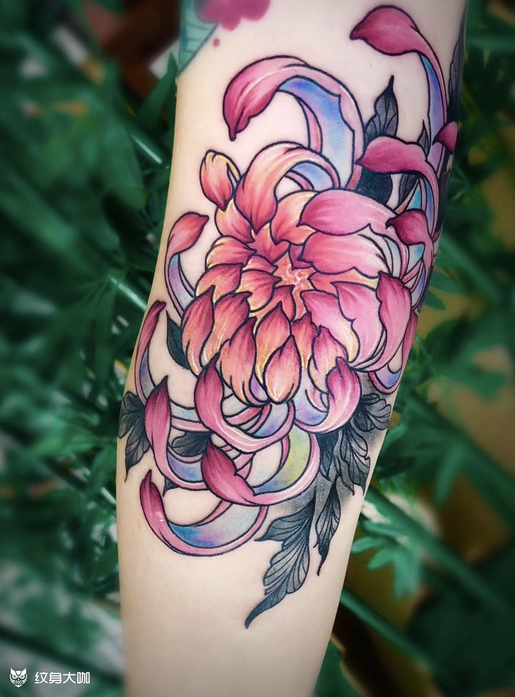 菊花传统_纹身图案手稿图片_金子的纹身作品集