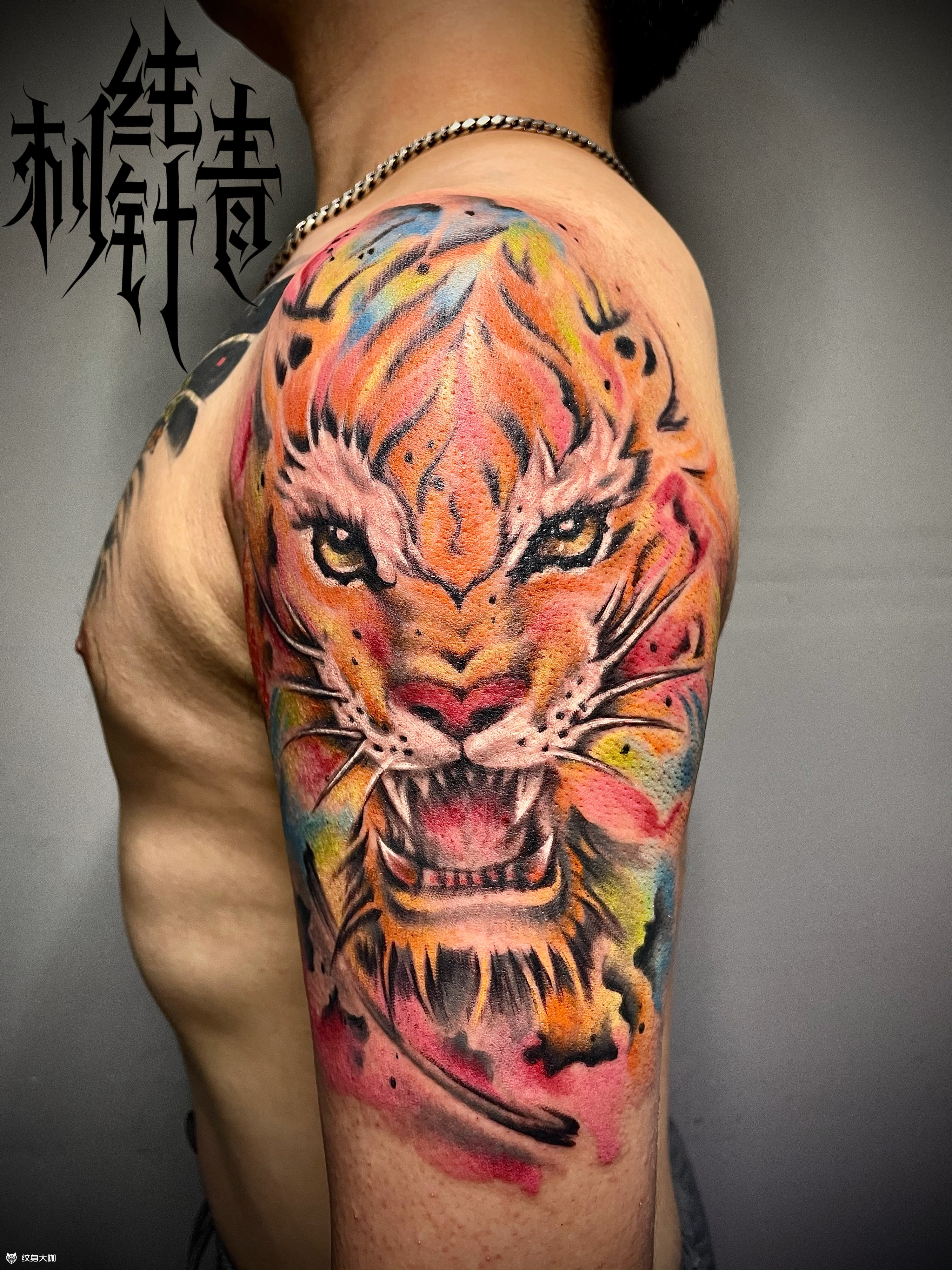 水彩老虎_纹身图案手稿图片_big baby 的纹身作品集
