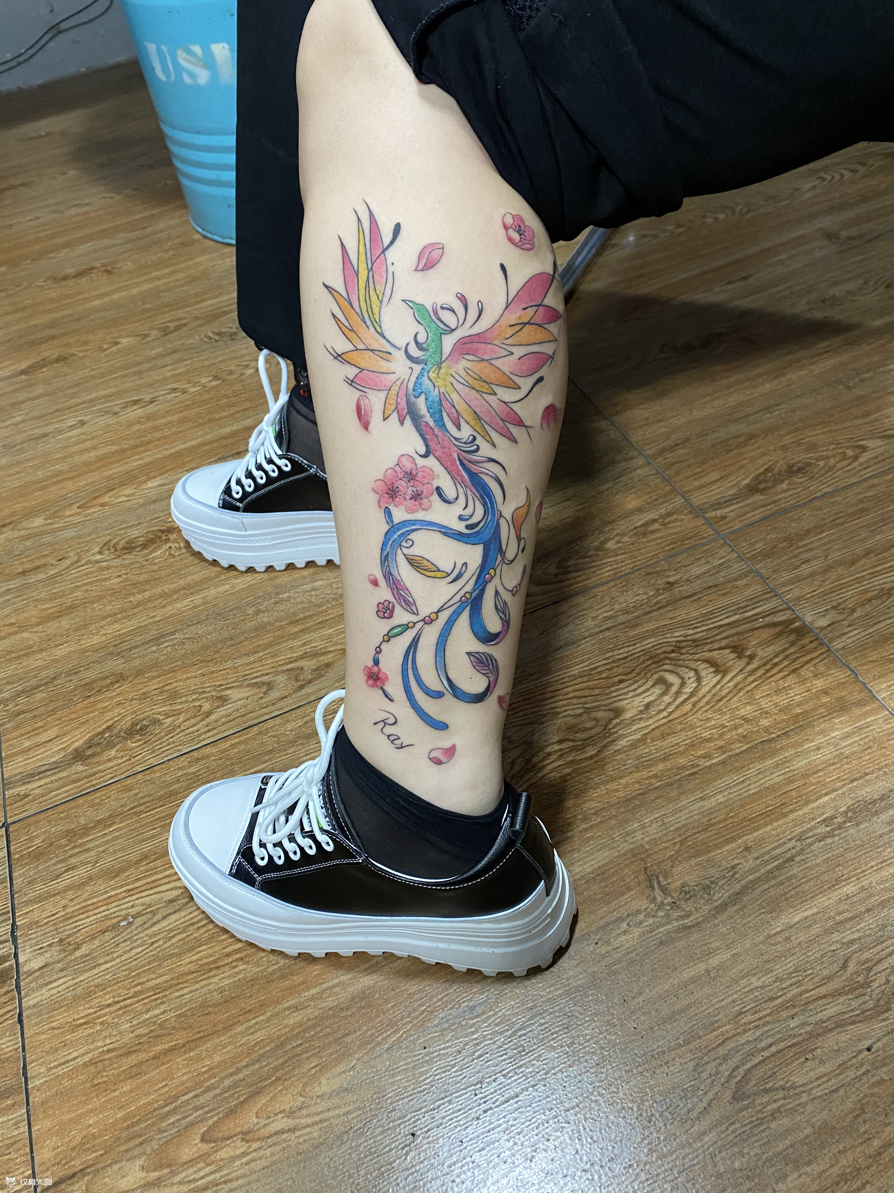 凤凰_纹身图案手稿图片_张朋朋的纹身作品集