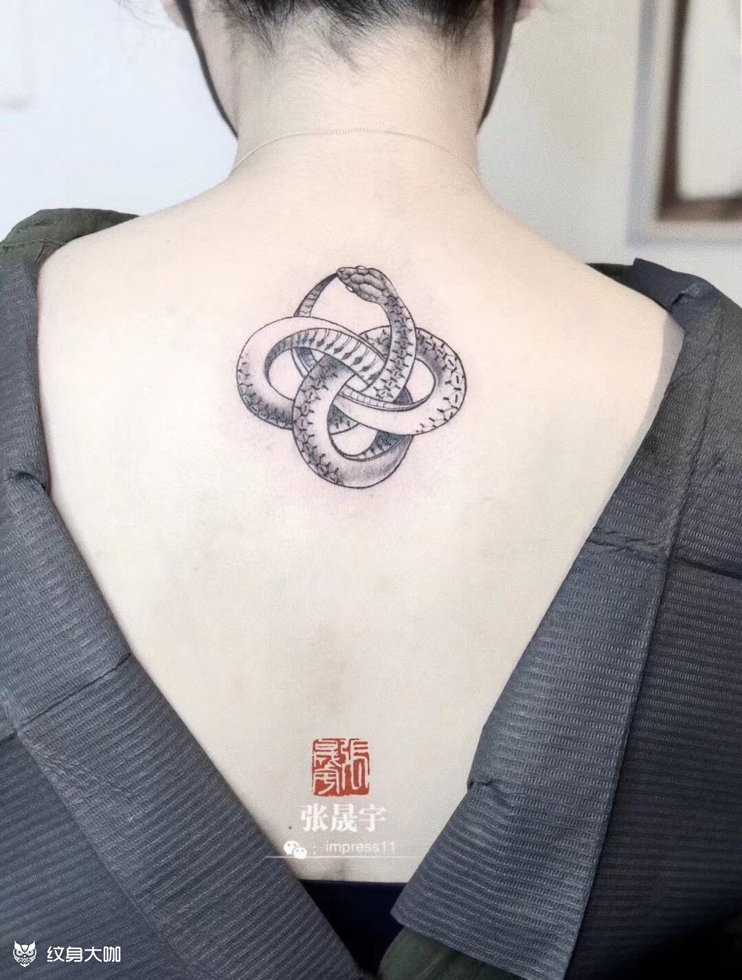 衔尾蛇 7815 97_纹身图案手稿图片_zsy张晟宇的纹身作品集