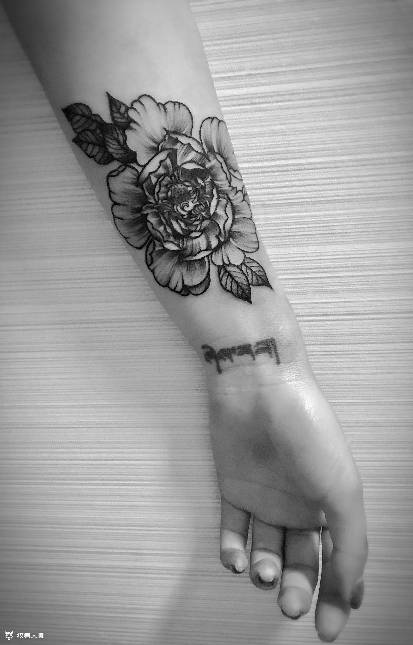 小臂-刀疤遮盖花卉_纹身图案手稿图片_黑素的纹身作品集