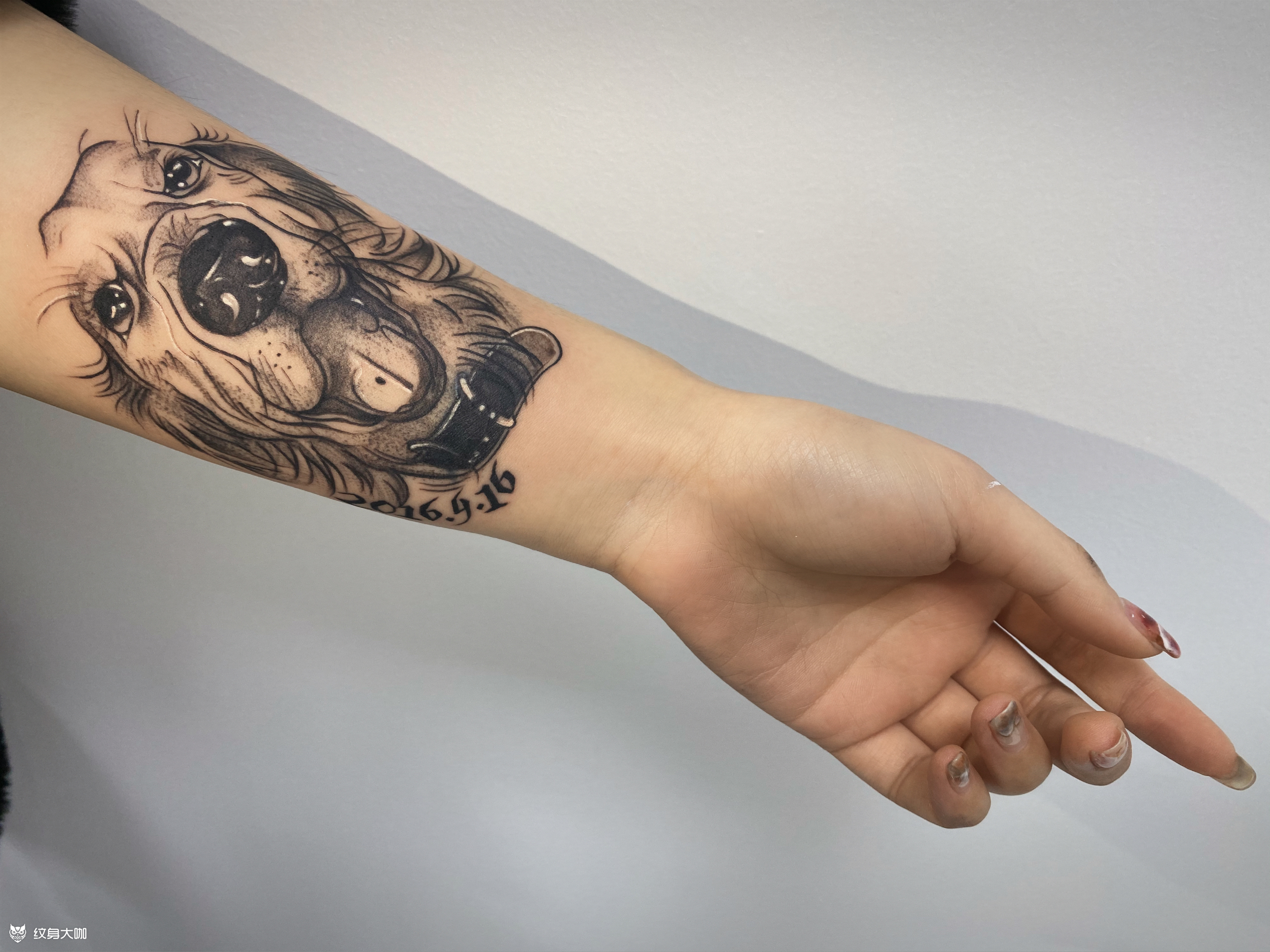 小臂旧纹身遮盖金毛狗